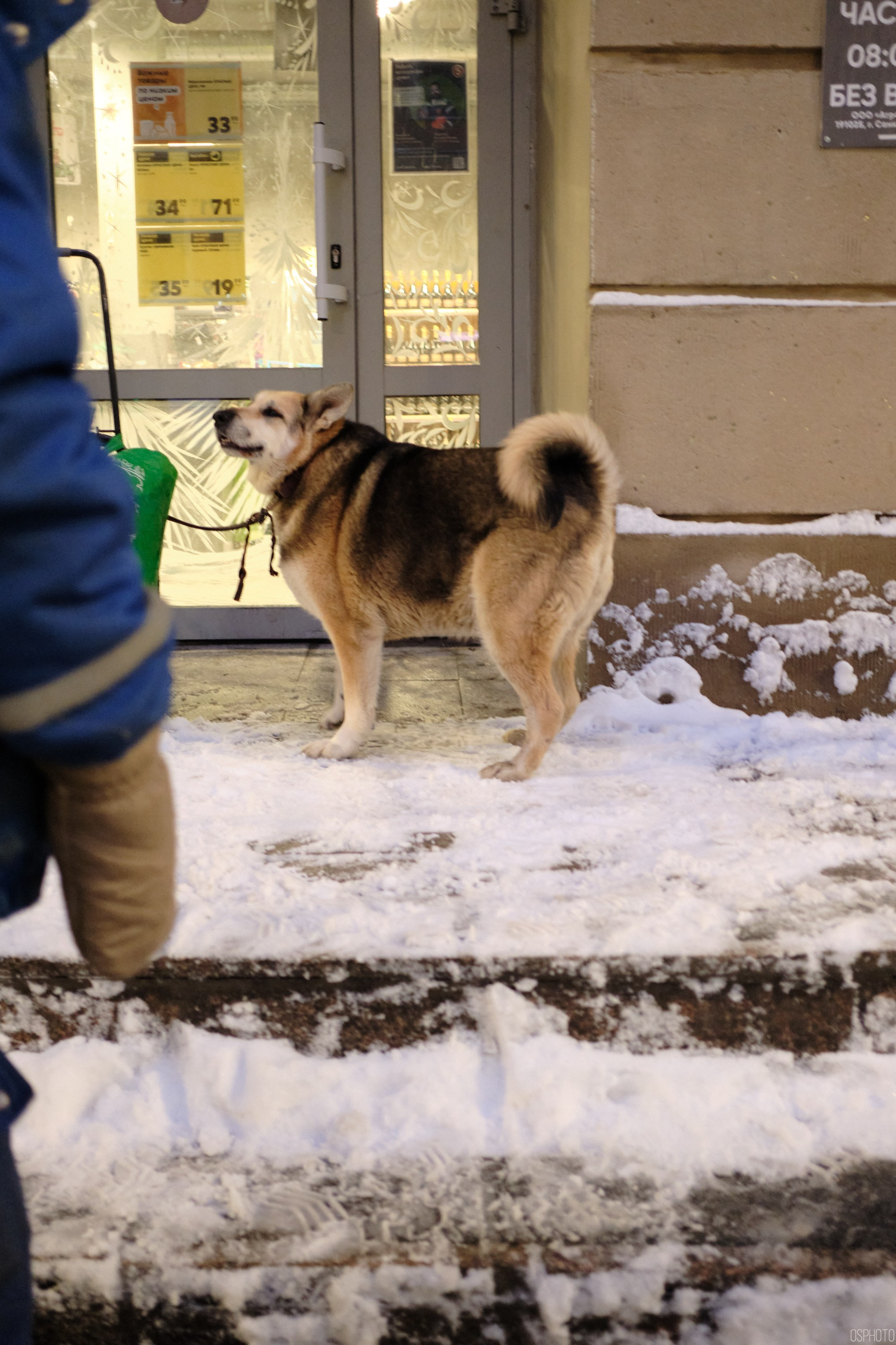Снег и туман в Санкт-Петербурге. Фотографъ Сергѣевъ. Поймать мгновеніе