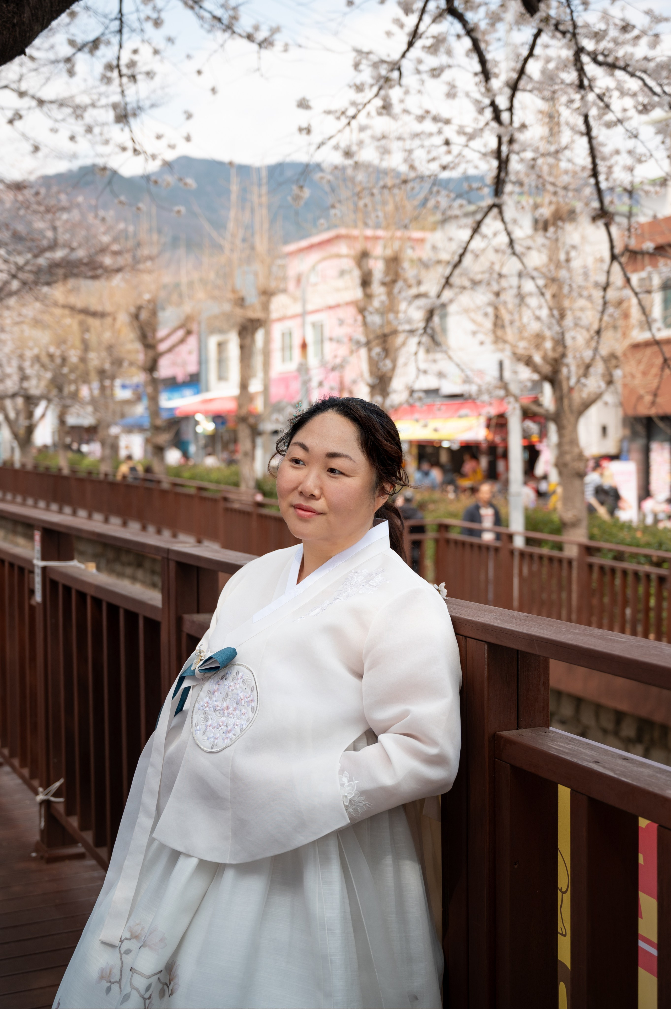 Hanbok couple photoshoot during sakura season in Busan
