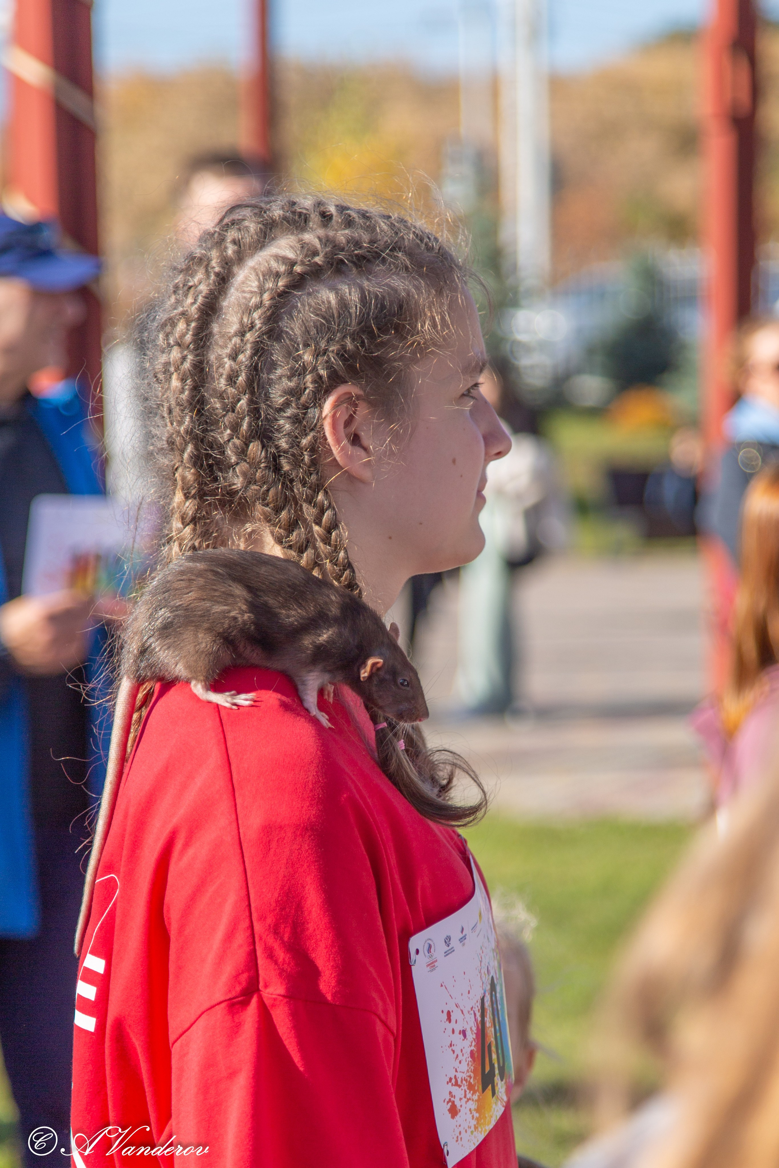 День ходьбы 2024. Фотограф Омск | Александр Вандеров