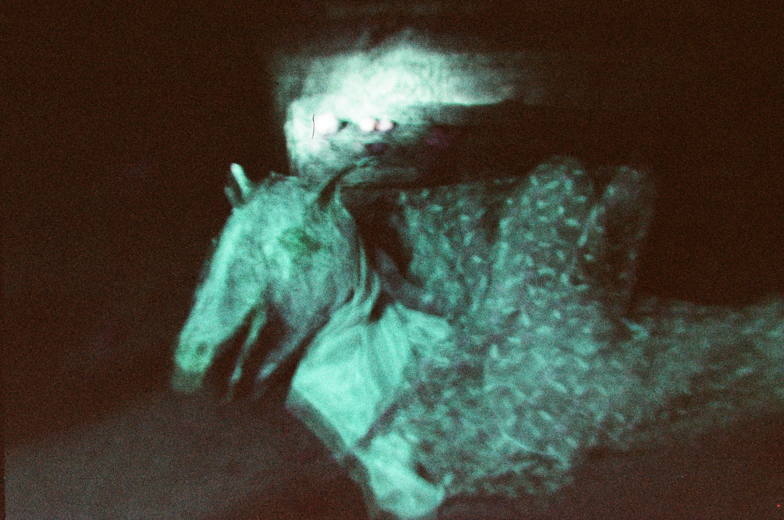 Елена Чернышова — Пираты воображения