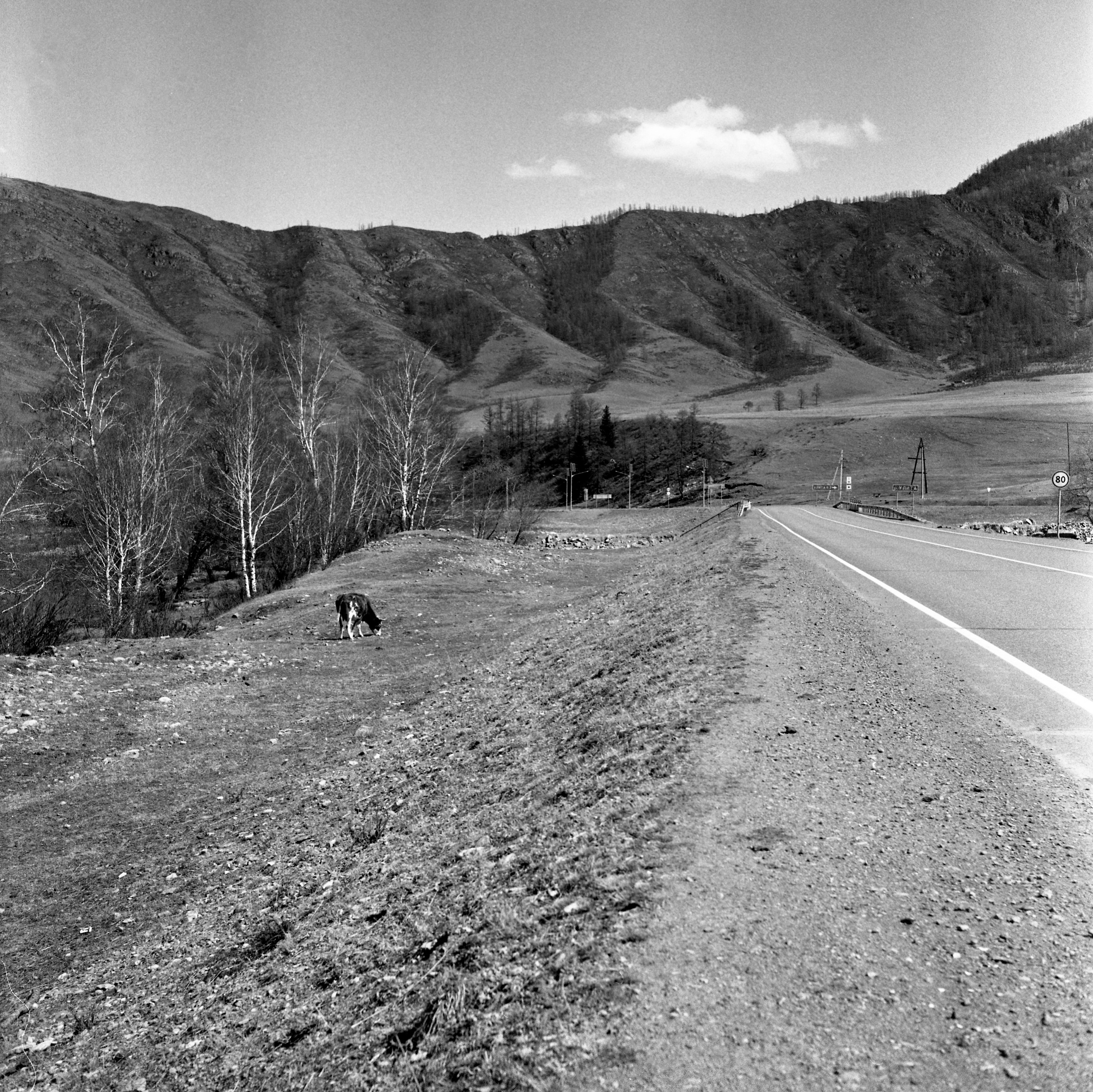 Алтай, Россия. Elena Nikitina. Photo Artist. Film photography. Prints