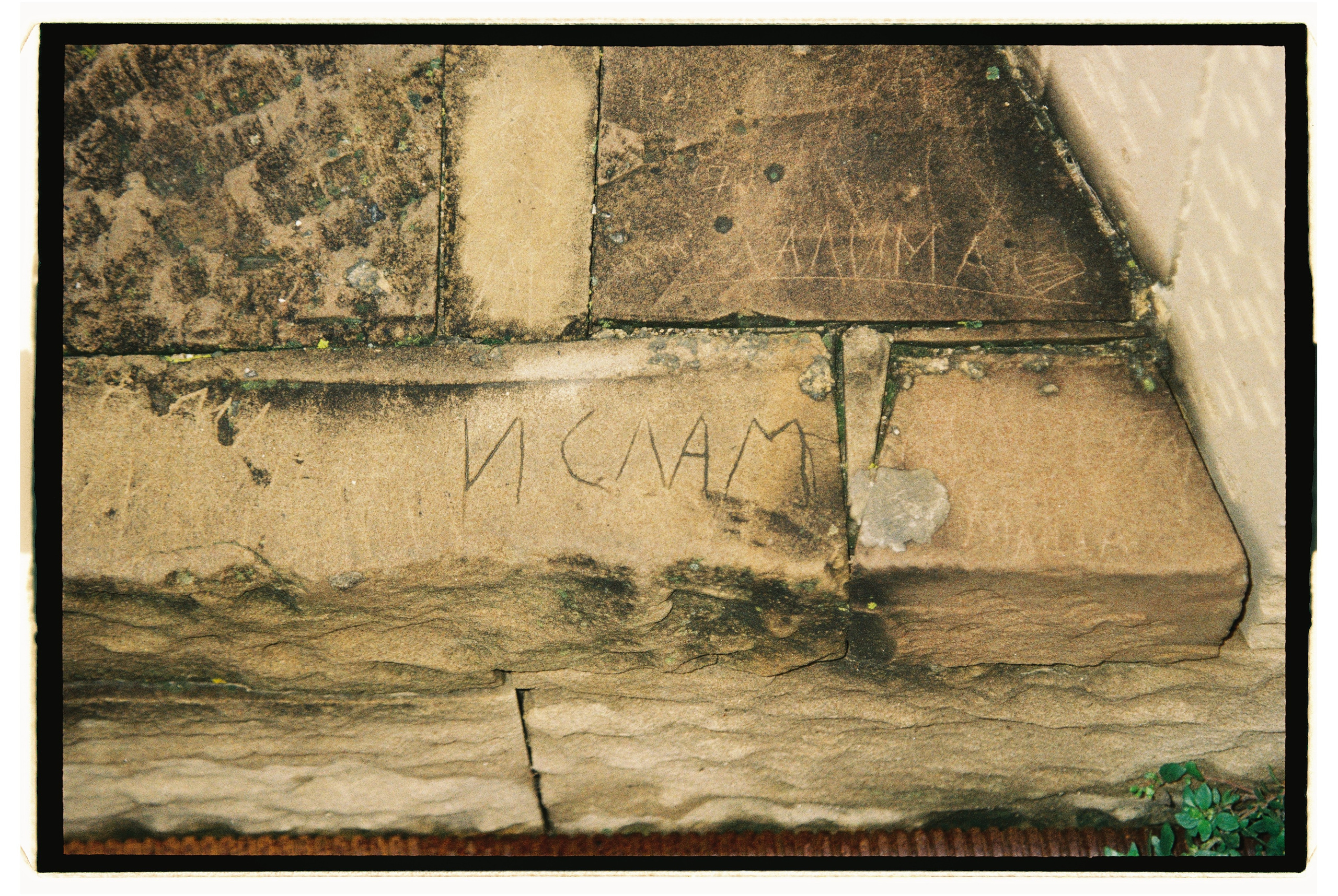 Заметки путешественника. Свадебный фотограф Елизавета Беляева