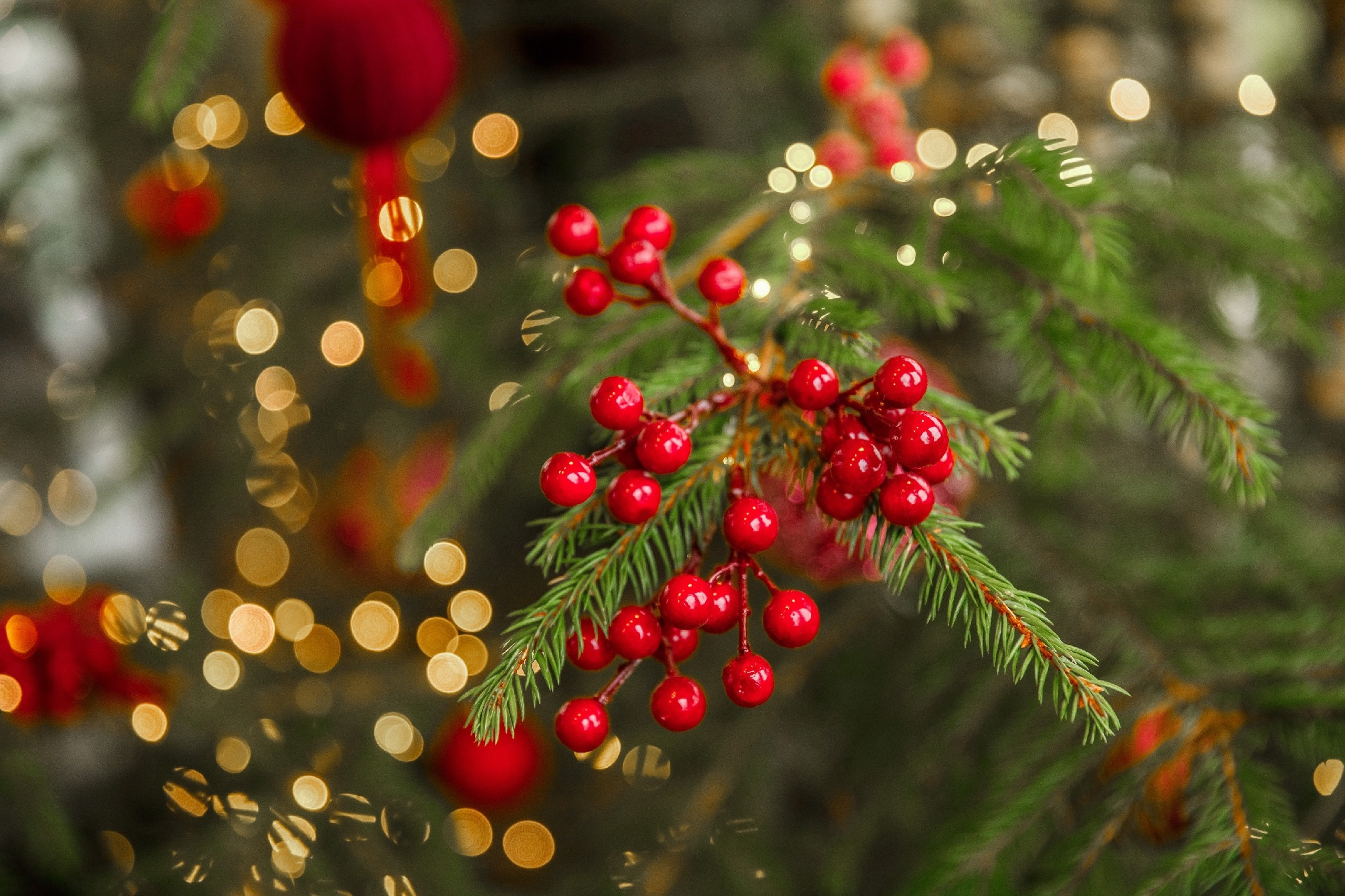 ФотоДАЧА. Семейный и детский фотограф |Брянск| Анастасия Перепелкина