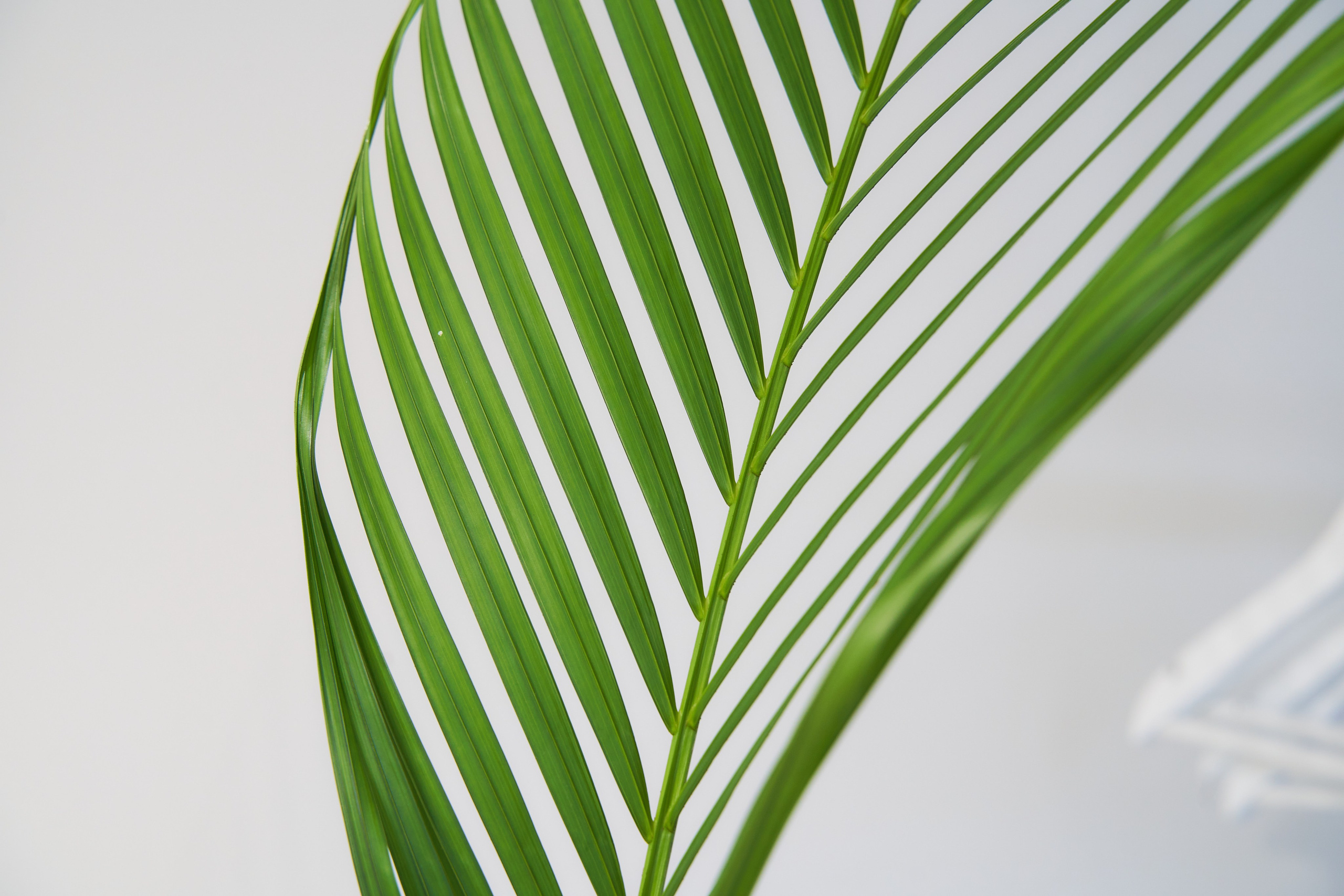 WOLT — CHERNIKA COFFEE. Фотограф в Уральске Александр Хохлачёв | HOHLACHEV.COM