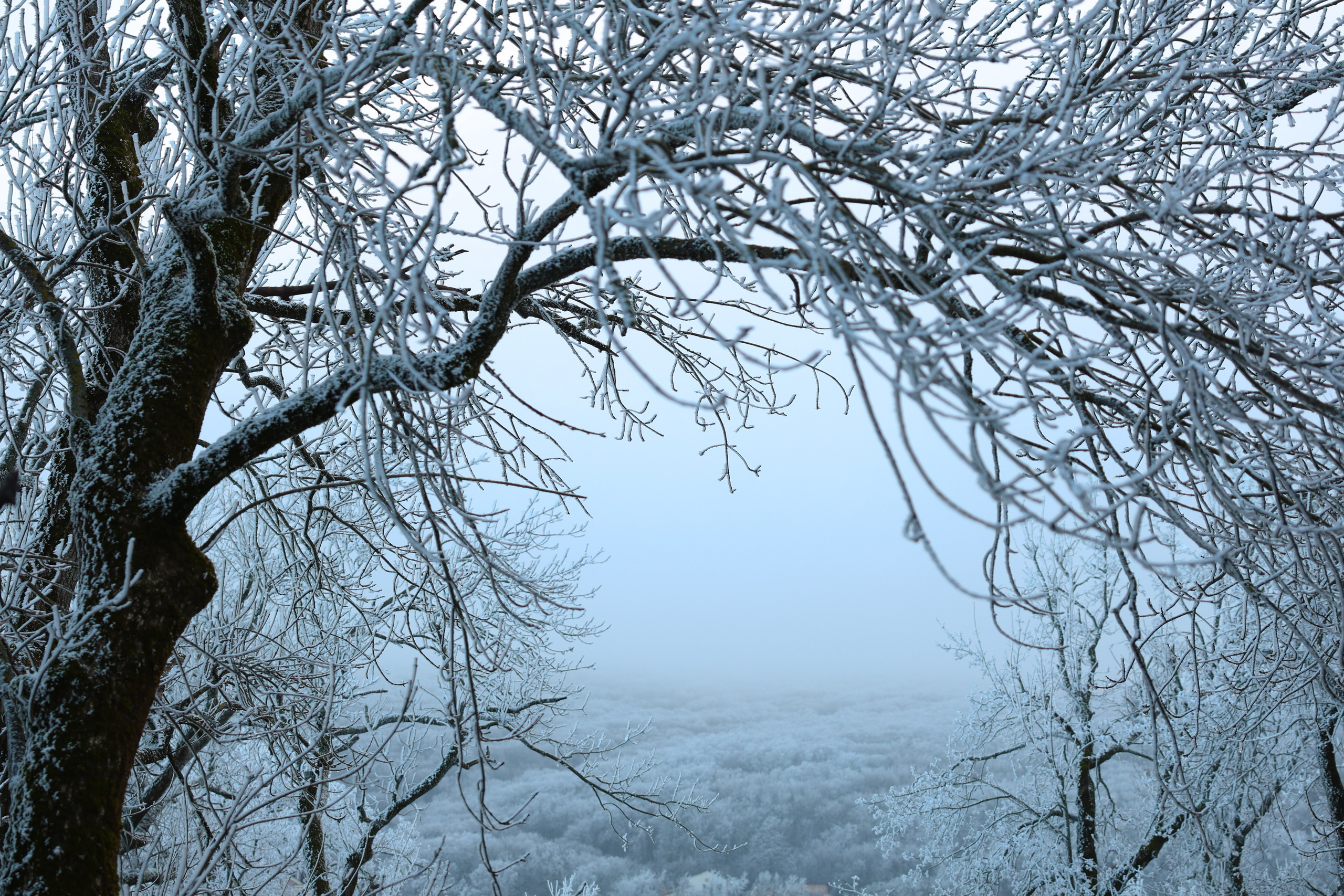 Мария Алексеева. Фотограф в Москве