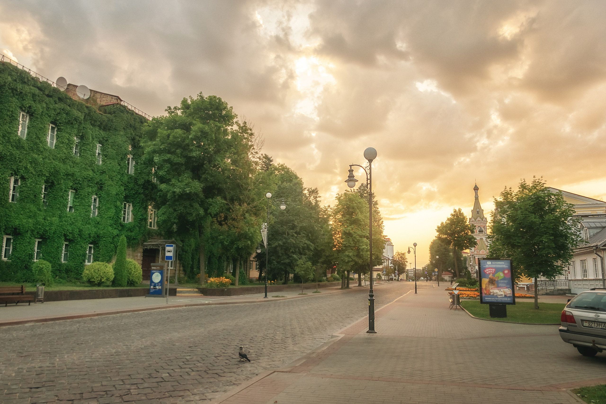 Нужно знать. Детский и семейный фотограф Шклов, Могилев и вся Беларусь