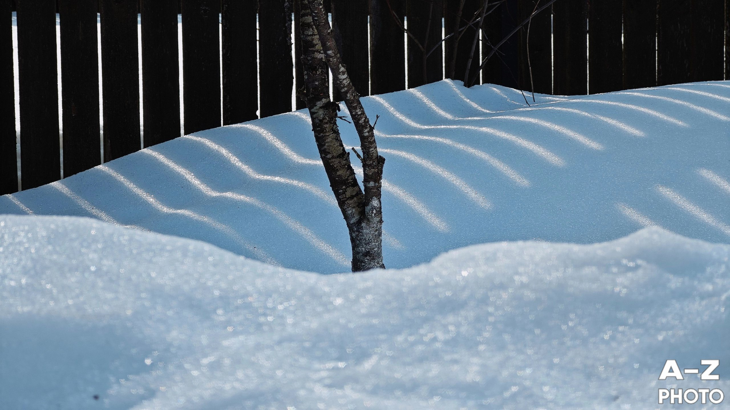 #ФОТОНЕДЕЛИ 16.03.2026. Женский семейный фотограф Тула Москва Захарова Анна