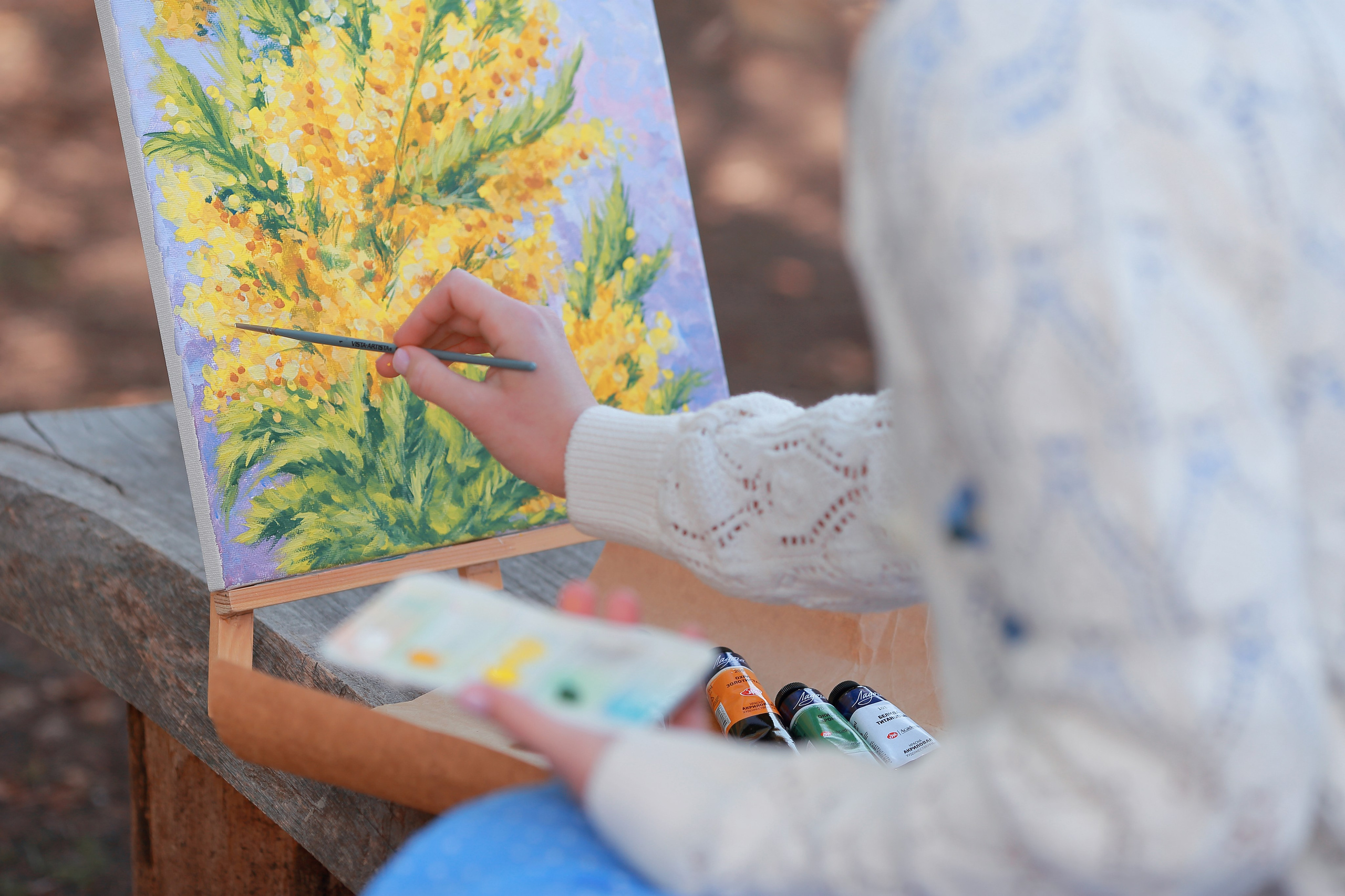 Абхазия. «Мандариновое настроение». Ольга Котова