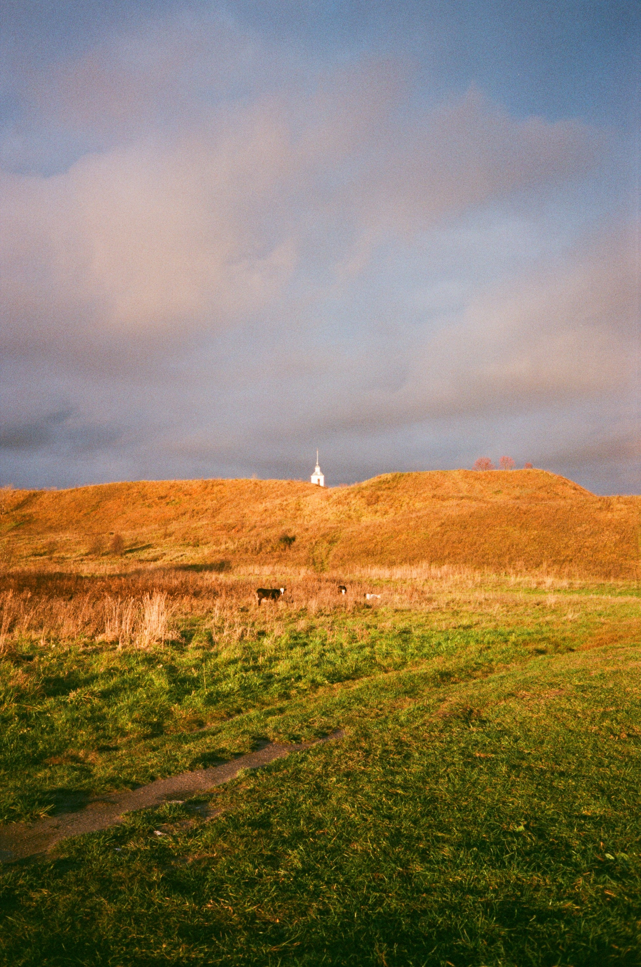 Автор: Анастасия Смирнова