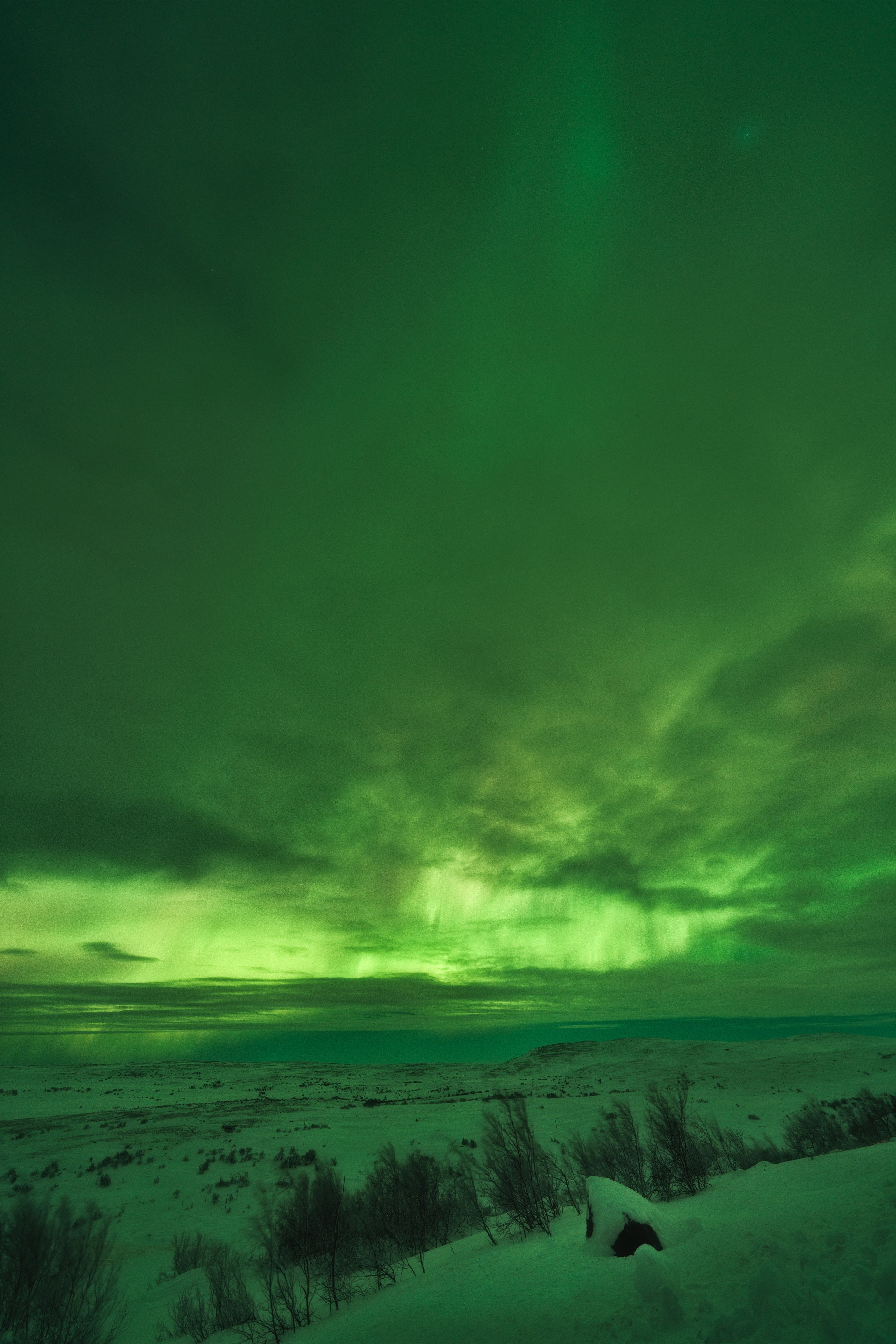 Предзимье на Кольском