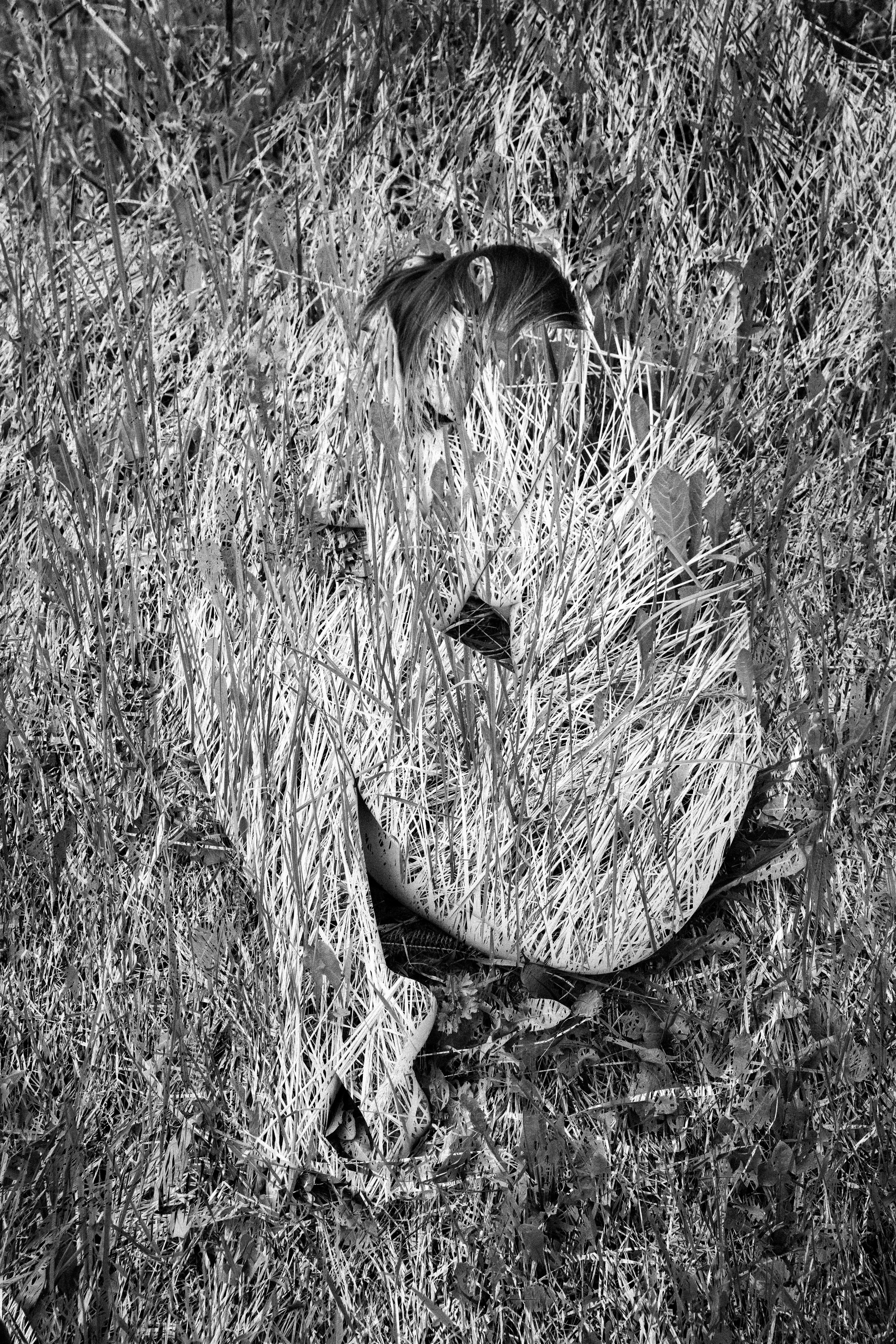 Photographer Anna Arzamastseva