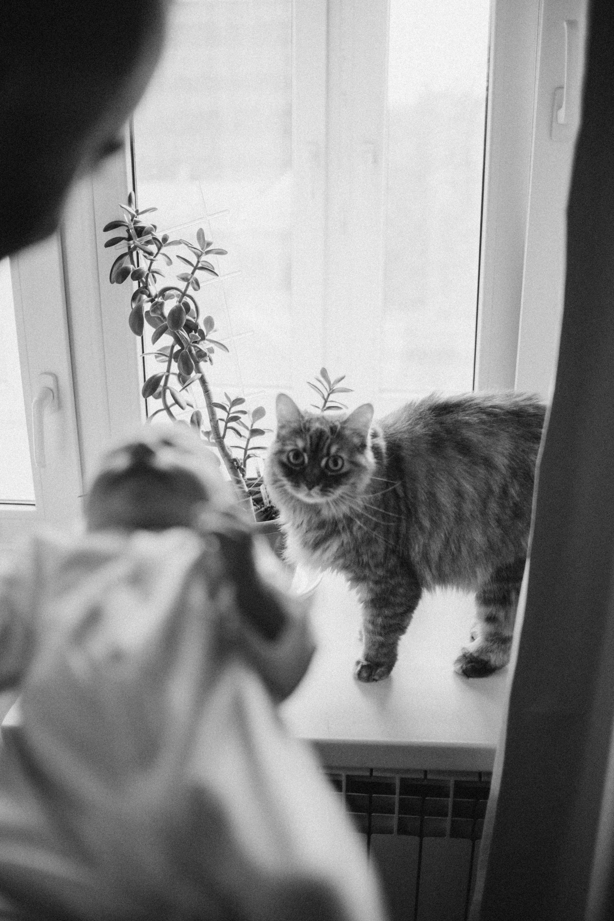 Диана, 14 дней🫶. Семейный фотограф и фотограф на роды в Ростове-на-Дону Мухина Виктория