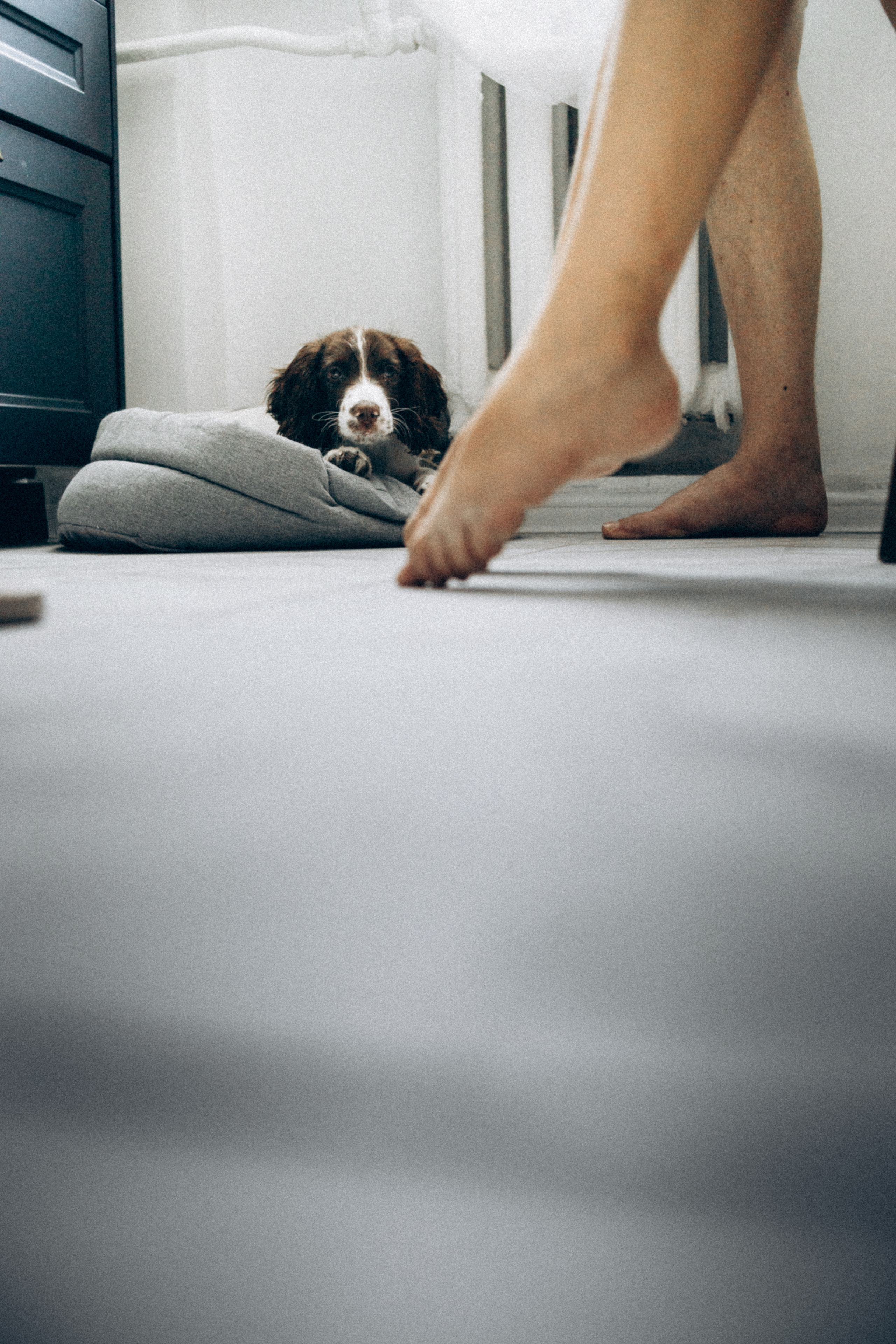 Family portrait ✨. Семейный фотограф и фотограф на роды в Ростове-на-Дону Мухина Виктория