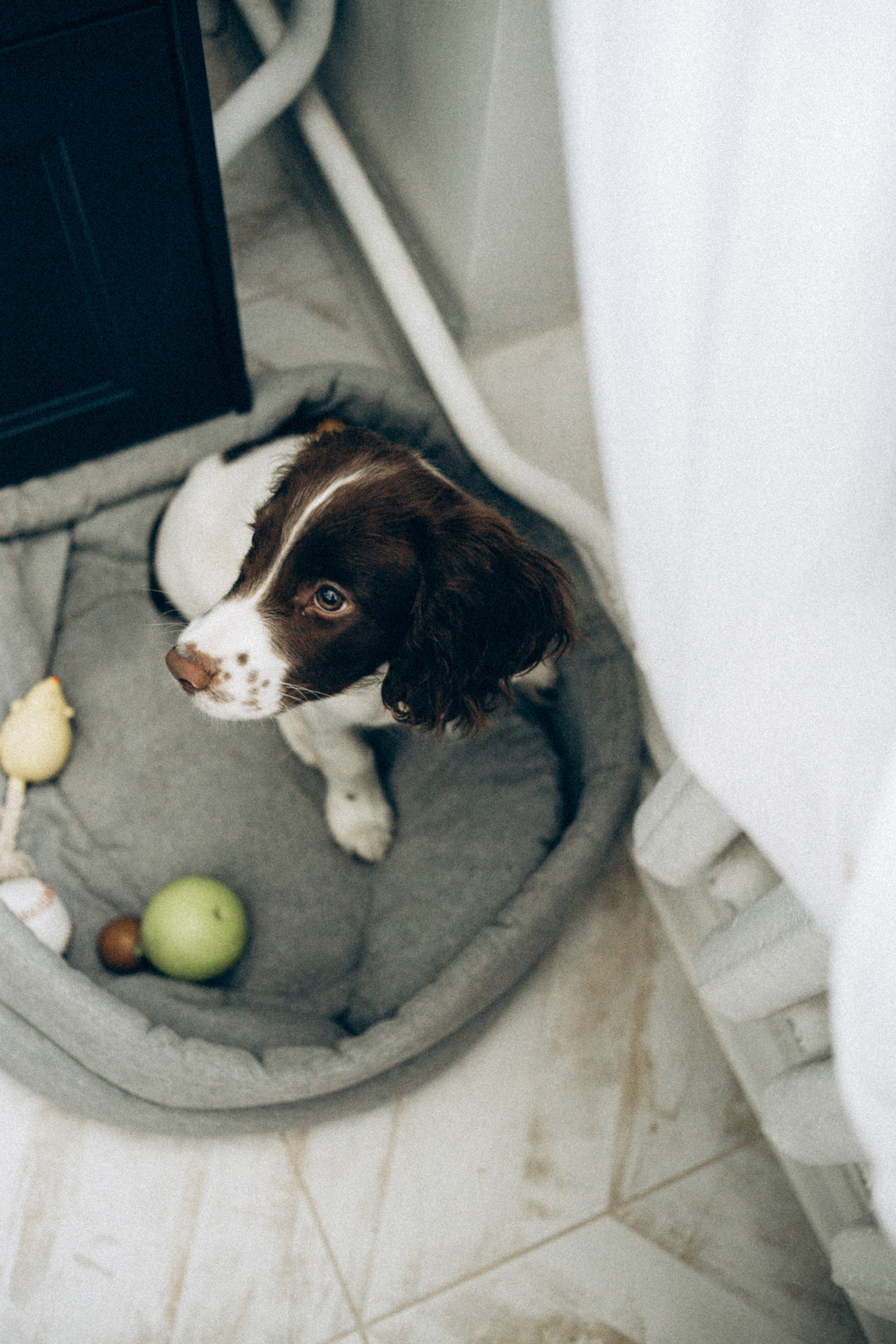 Family portrait ✨. Семейный фотограф и фотограф на роды в Ростове-на-Дону Мухина Виктория