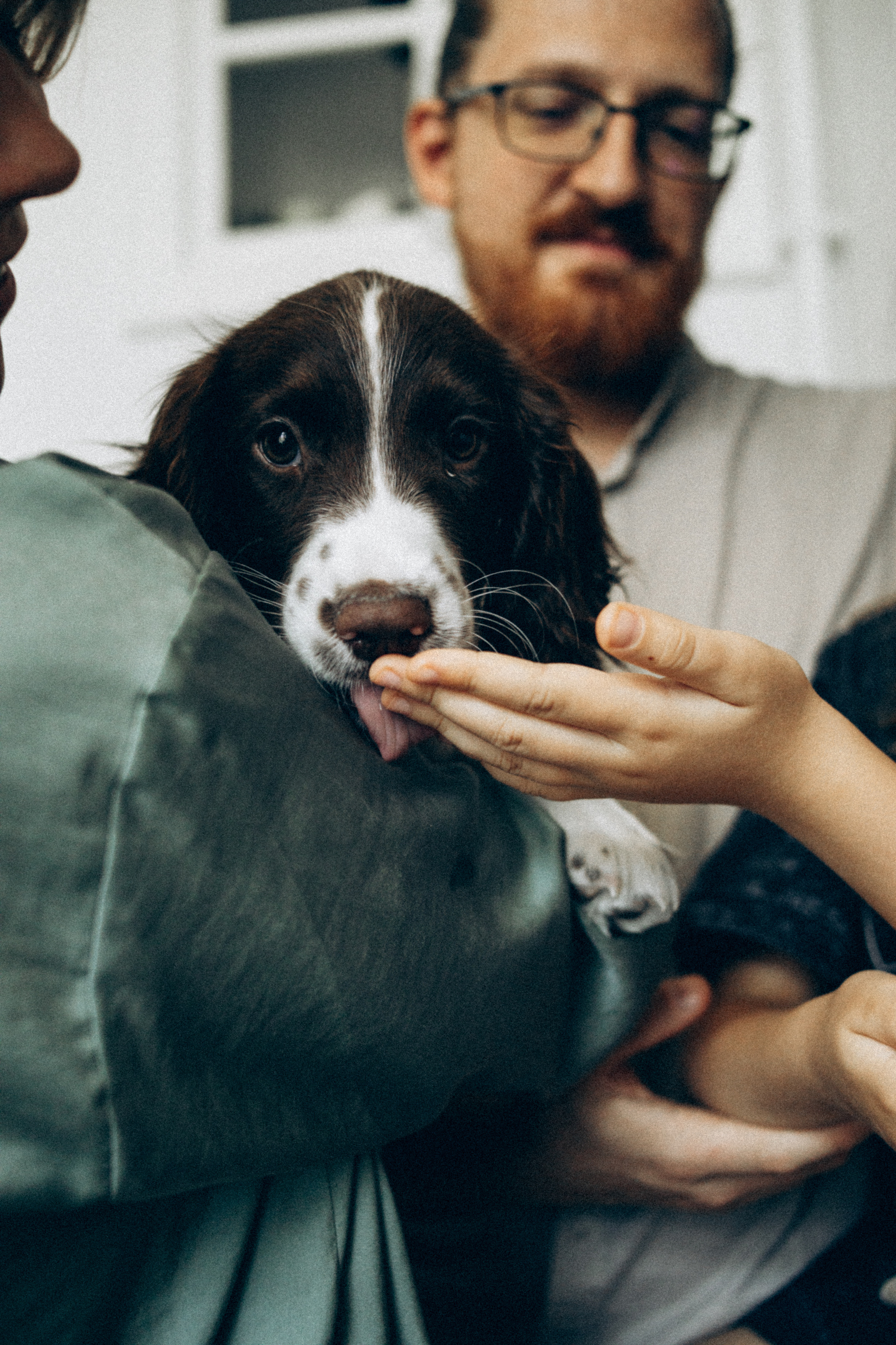 Family portrait ✨. Семейный фотограф и фотограф на роды в Ростове-на-Дону Мухина Виктория