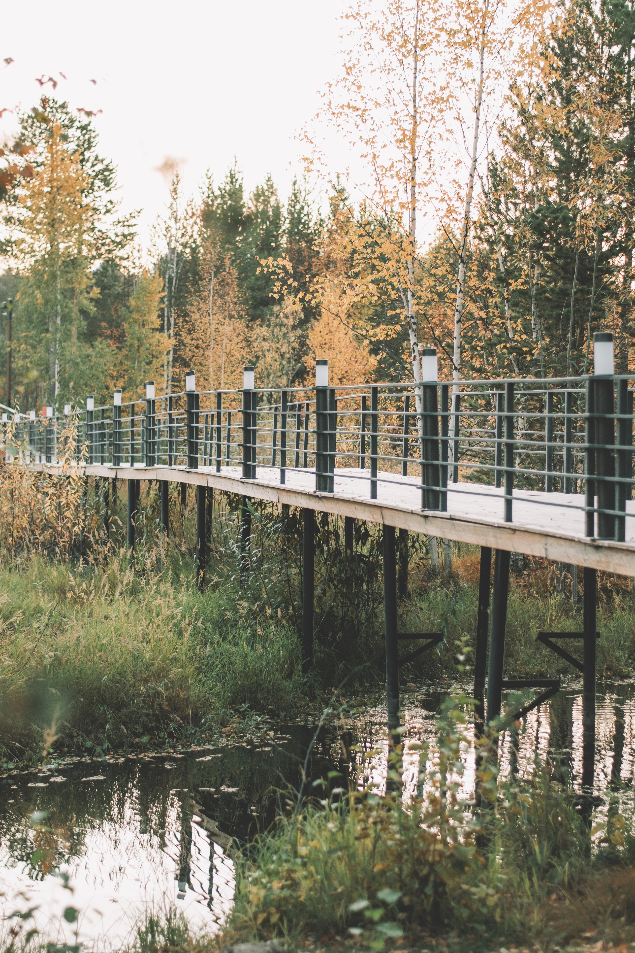 Семейный и свадебный фотограф Губкинский и Ставрополь