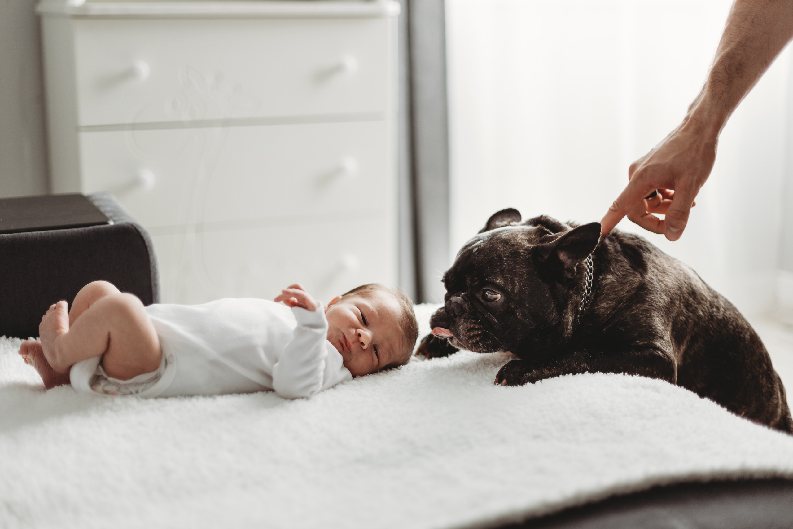 Фотограф Новорожденных в Москве Илона Шубина