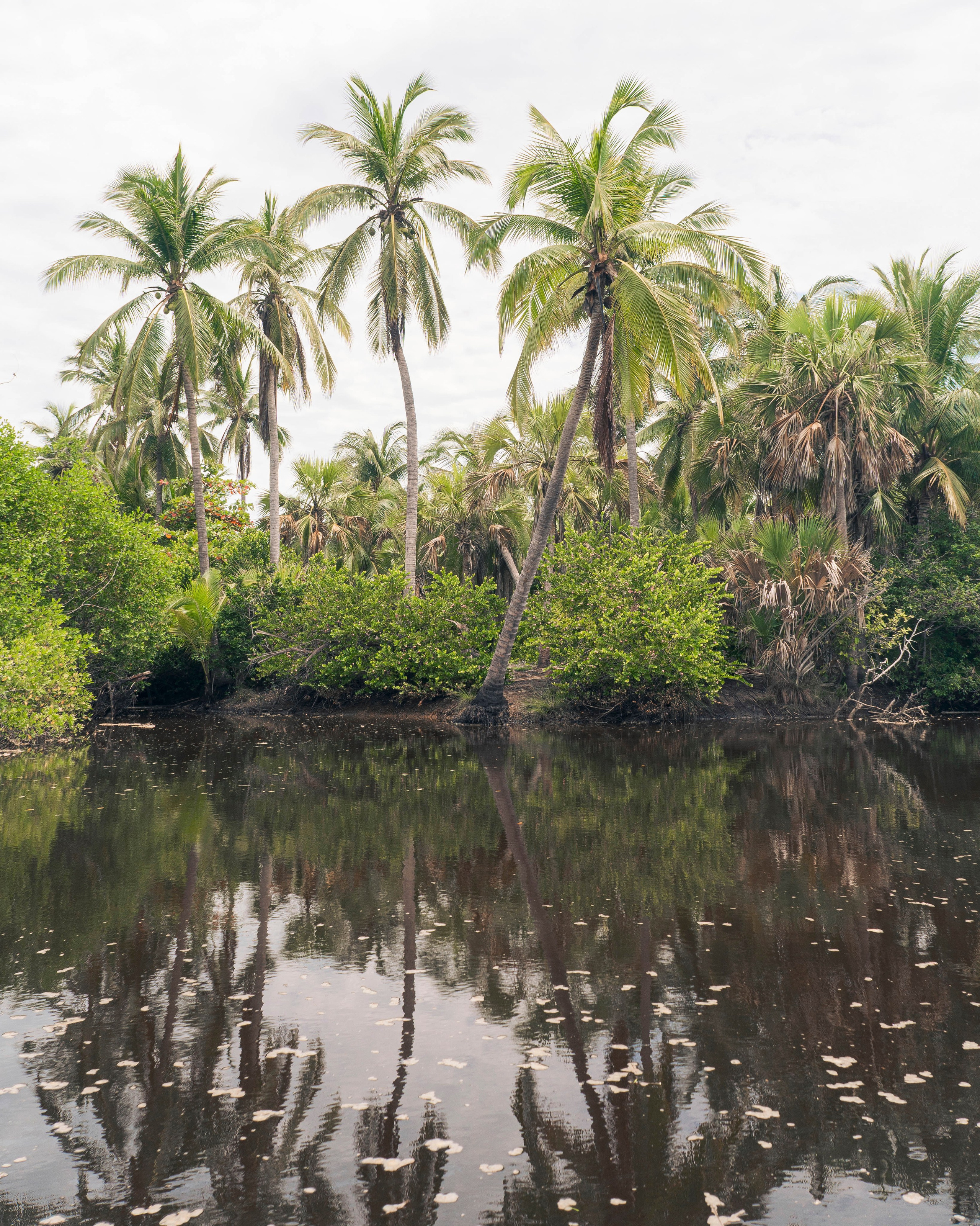 Crocos’ Paradise. CDMX Photography | Alex Klenin| Portrait & Event Photographer
