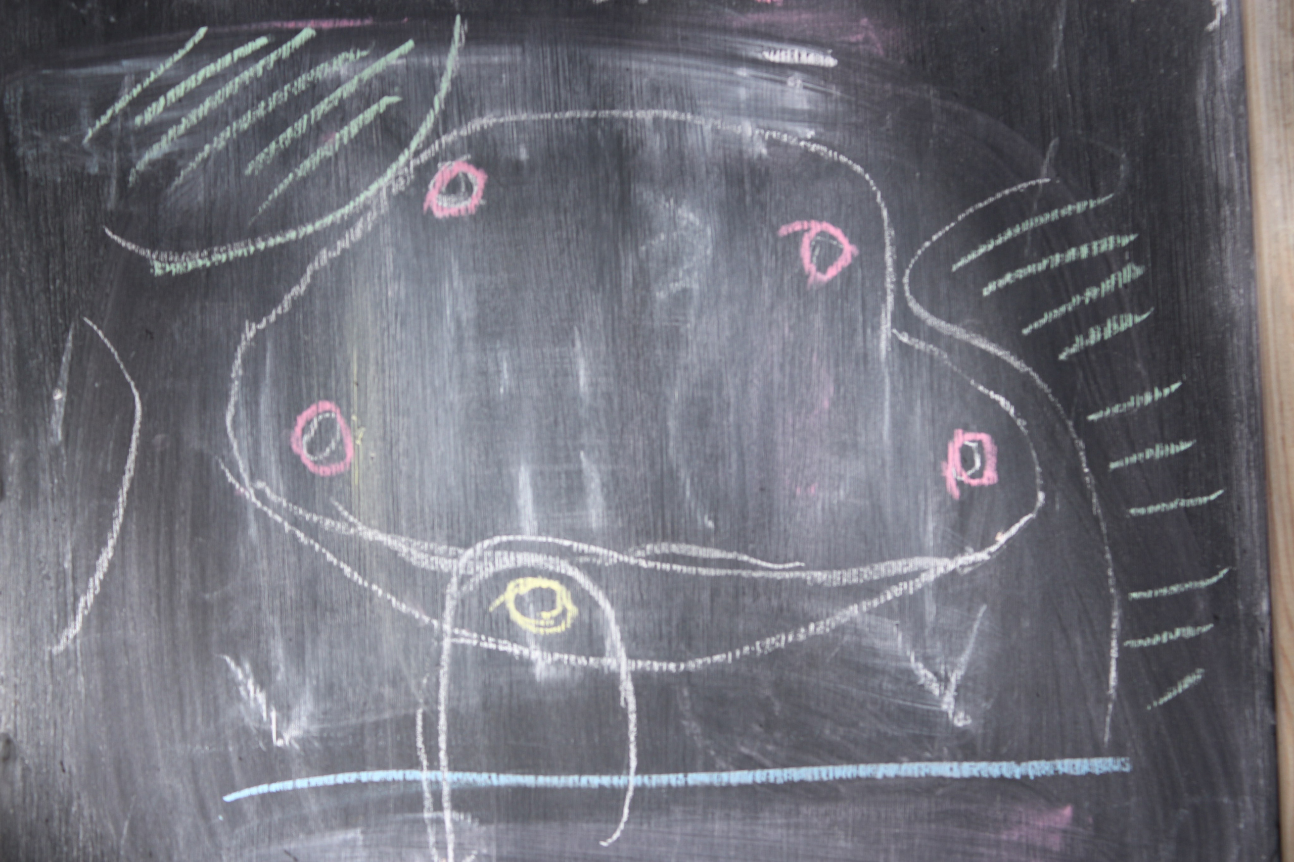 Первенство по сёрфингу, 1 июня. Фотокрыжовник. Снимаем, дружим, путешествуем