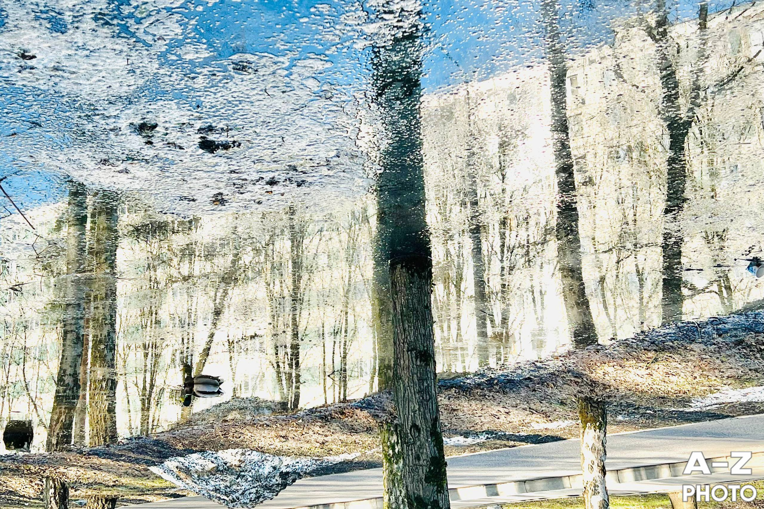 #ФОТОНЕДЕЛИ 06.04.2026. Женский семейный фотограф Тула Москва Захарова Анна