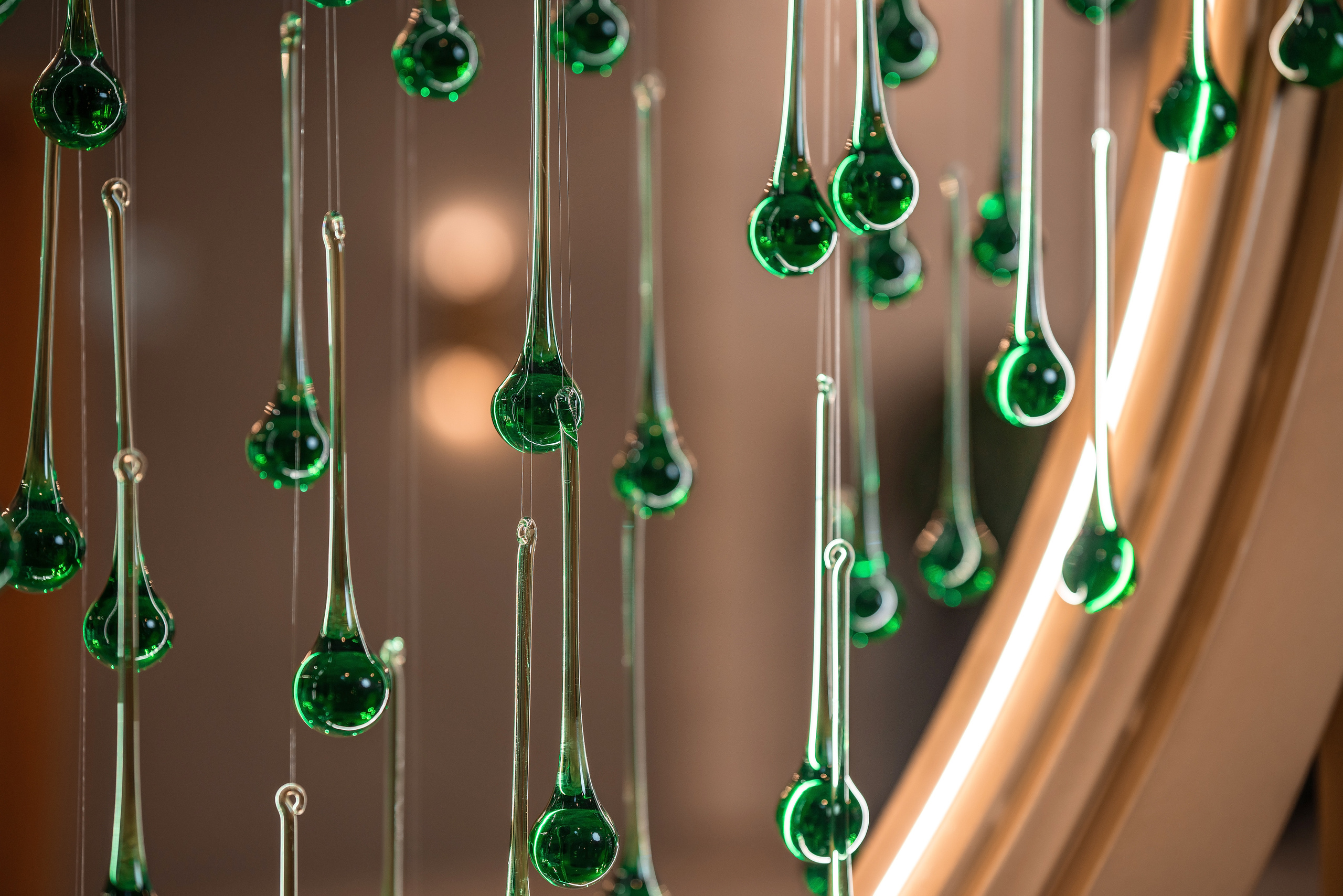 Фотограф Сочи