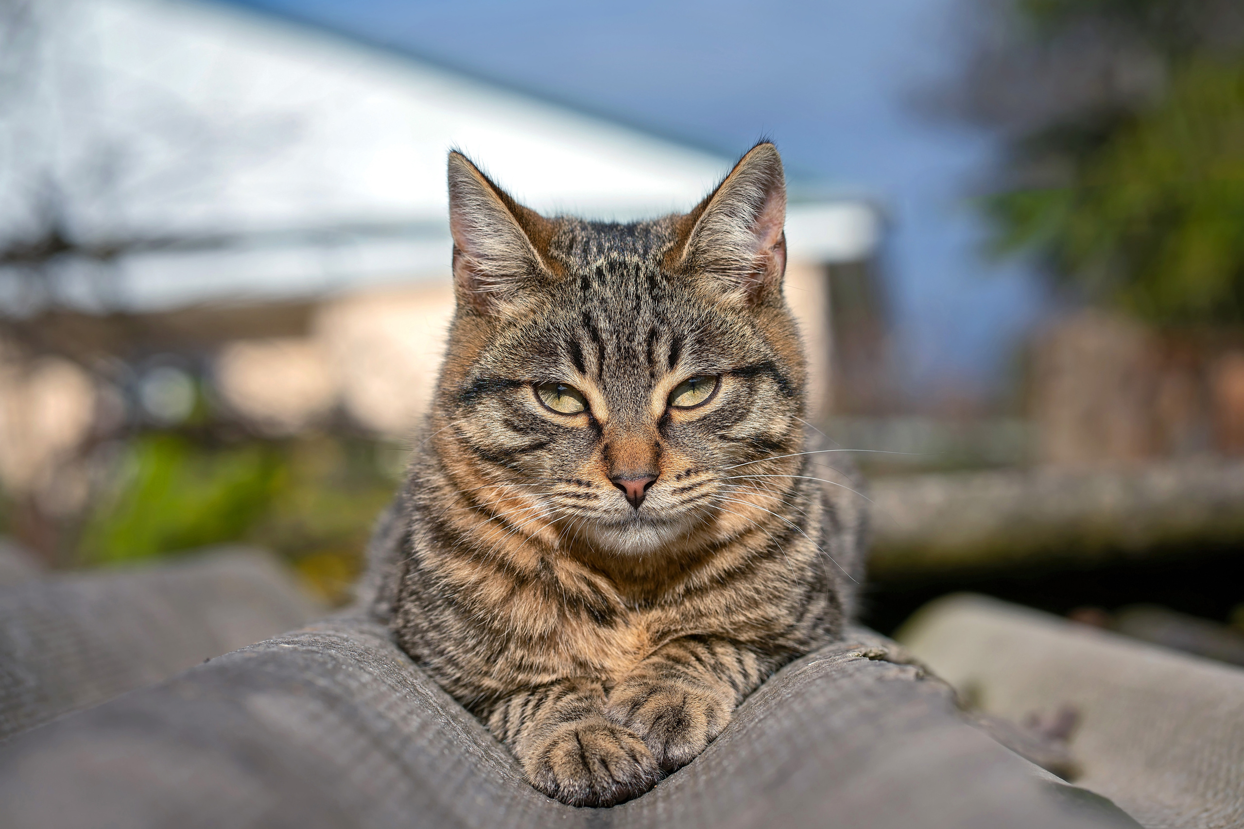 Фотограф Сочи