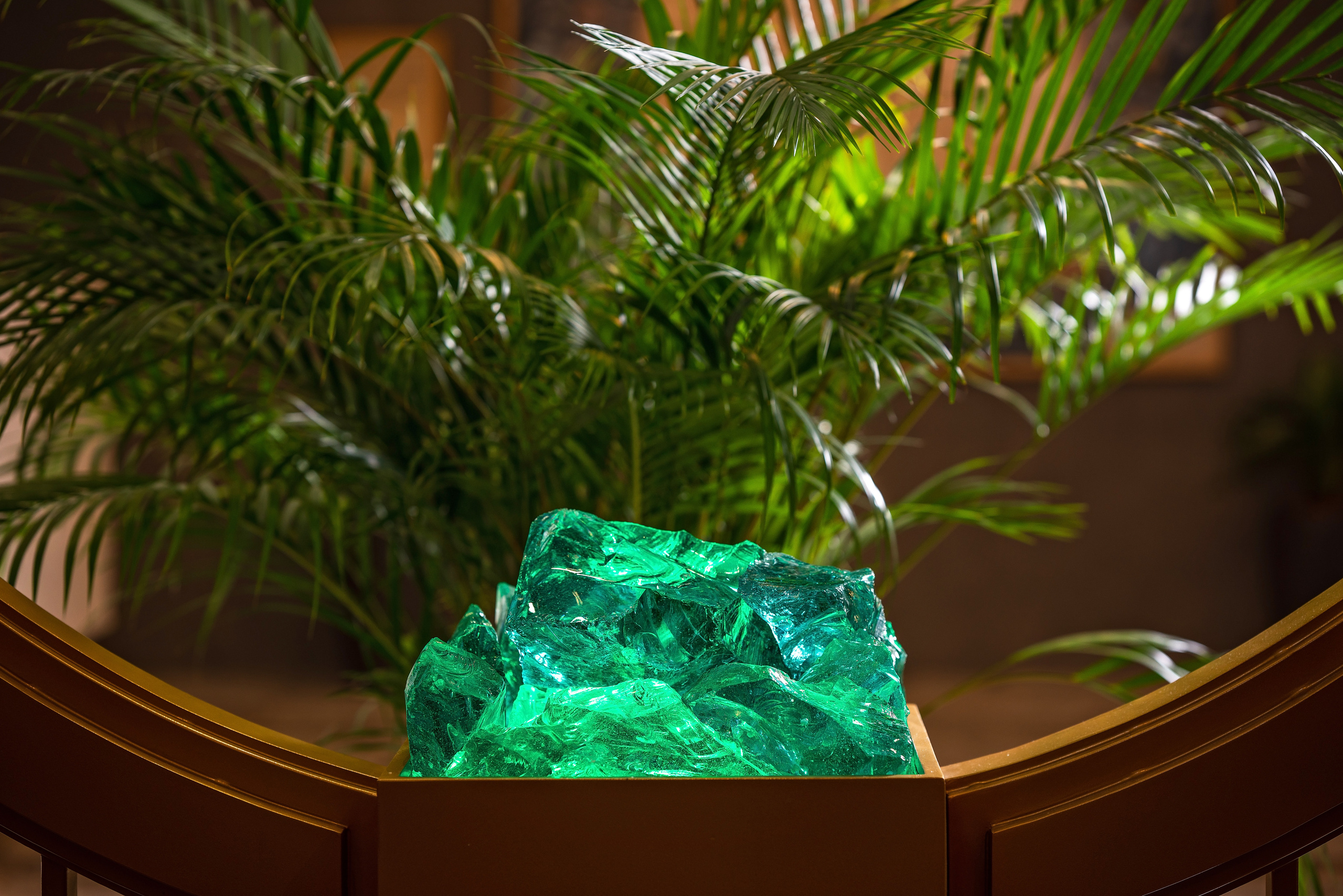 Фотограф Сочи