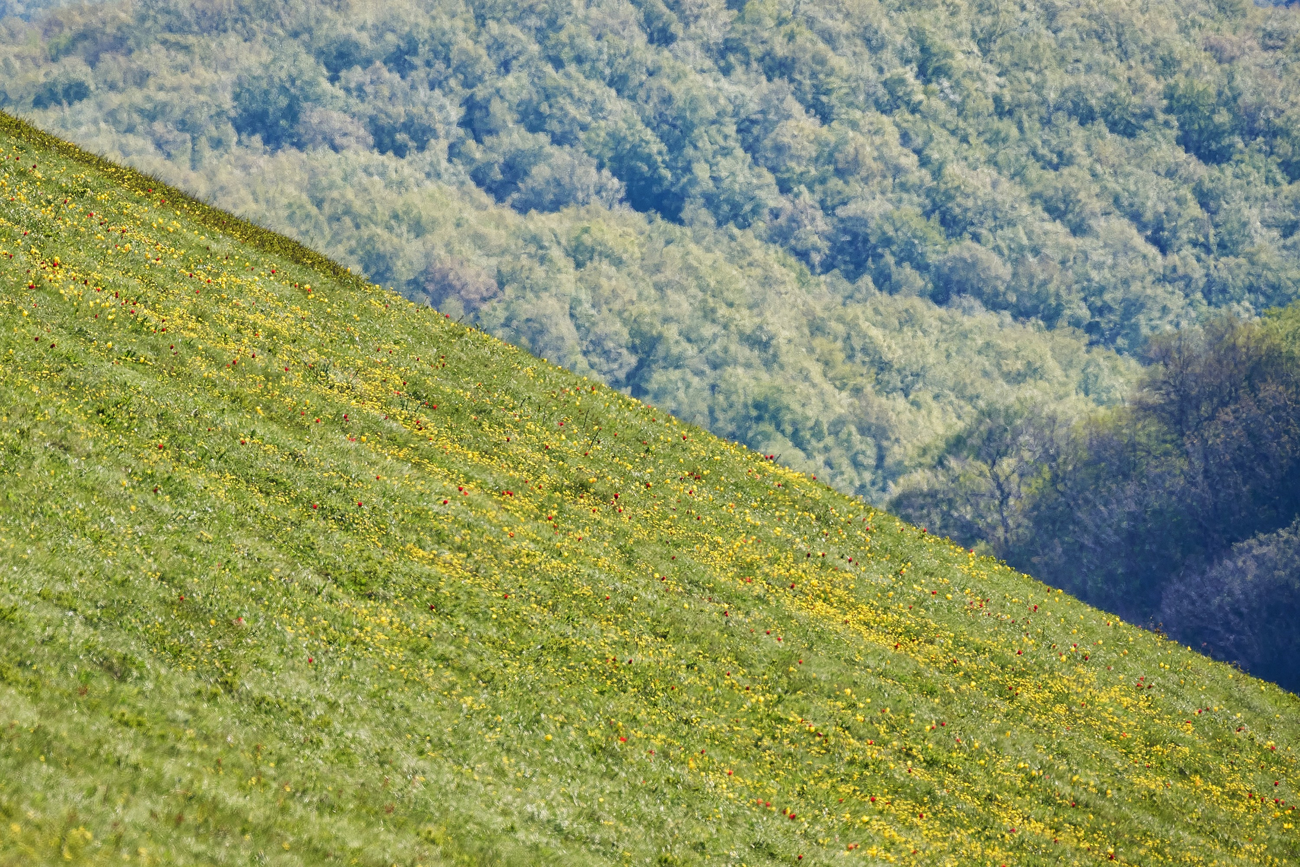 Пейзажи. Яркие фото на Чёрном море