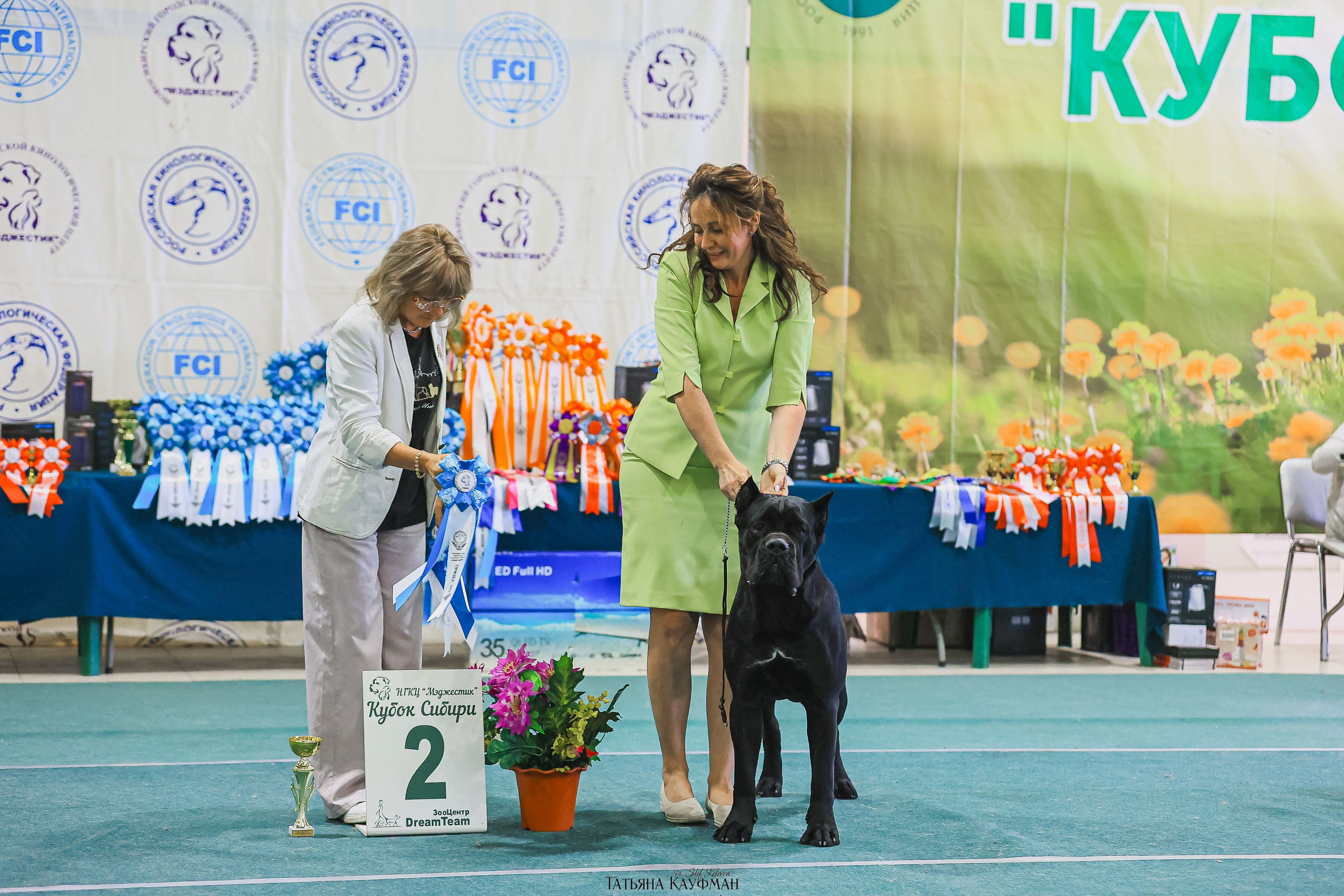 13.07.25 2х выставки собак. Новосибирск. «Кубок Сибири»