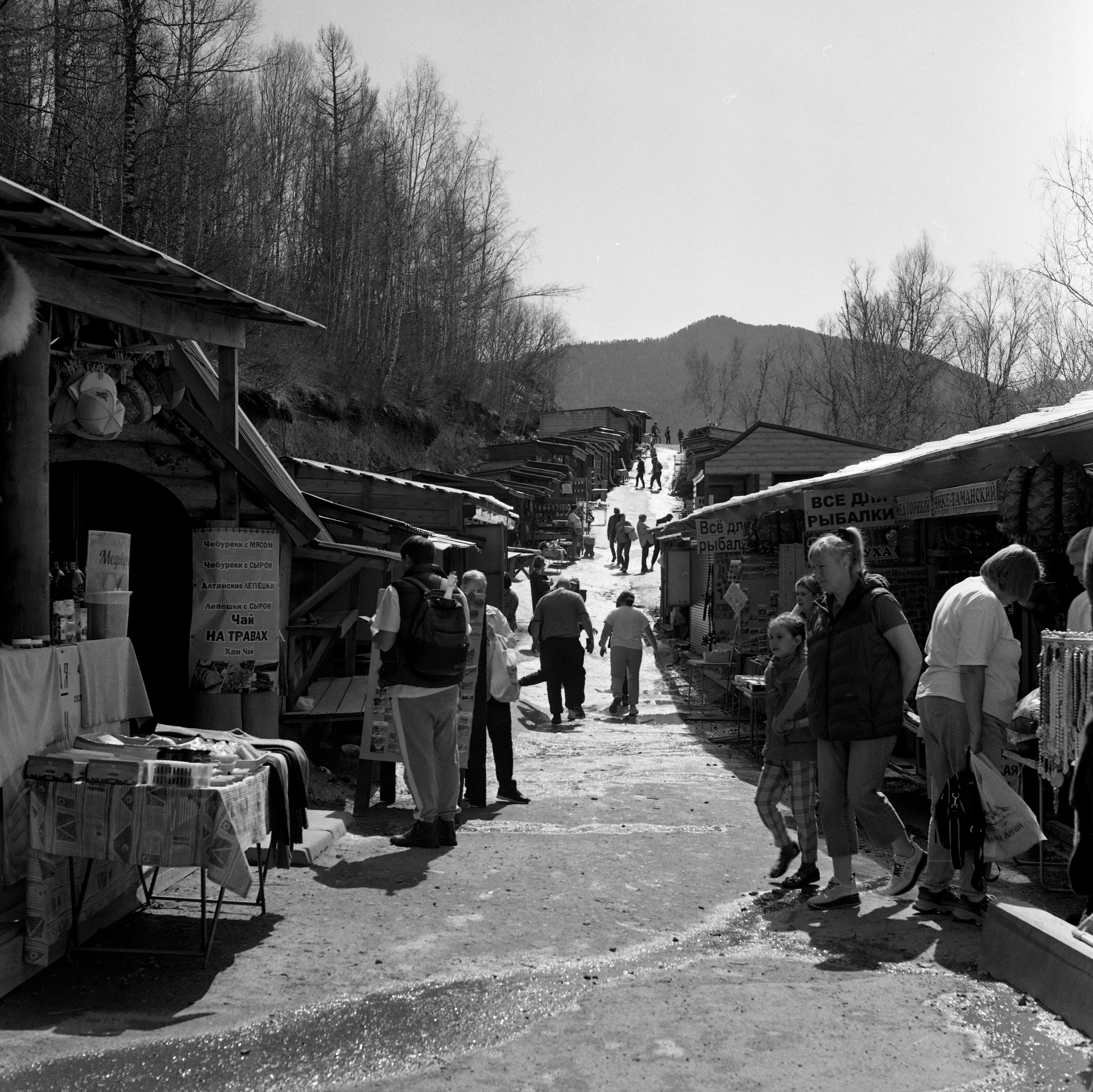 Алтай, Россия. Elena Nikitina. Photo Artist. Film photography. Prints