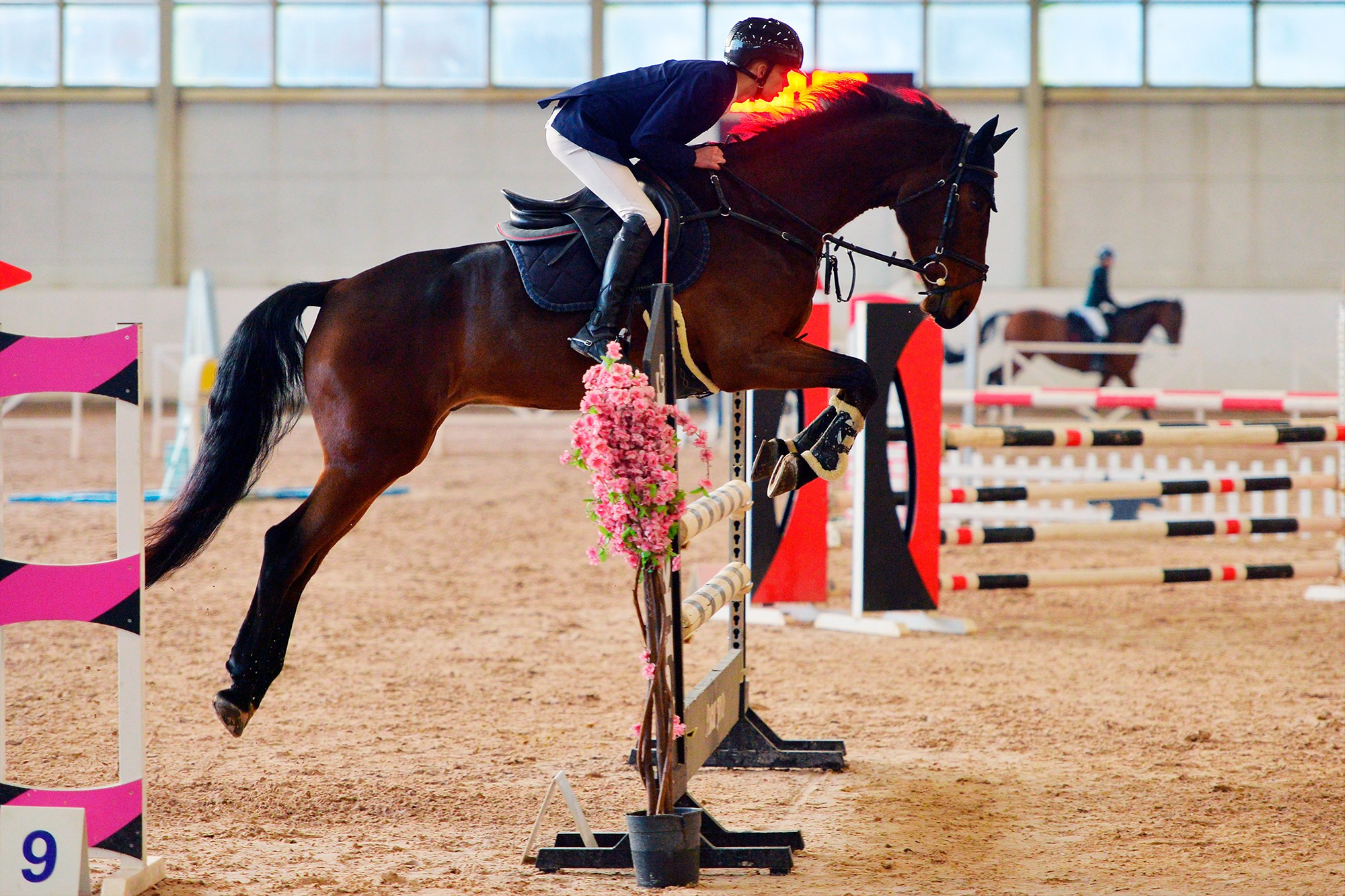 Конкур: кск «Дерби» 18 — 19.10.2025