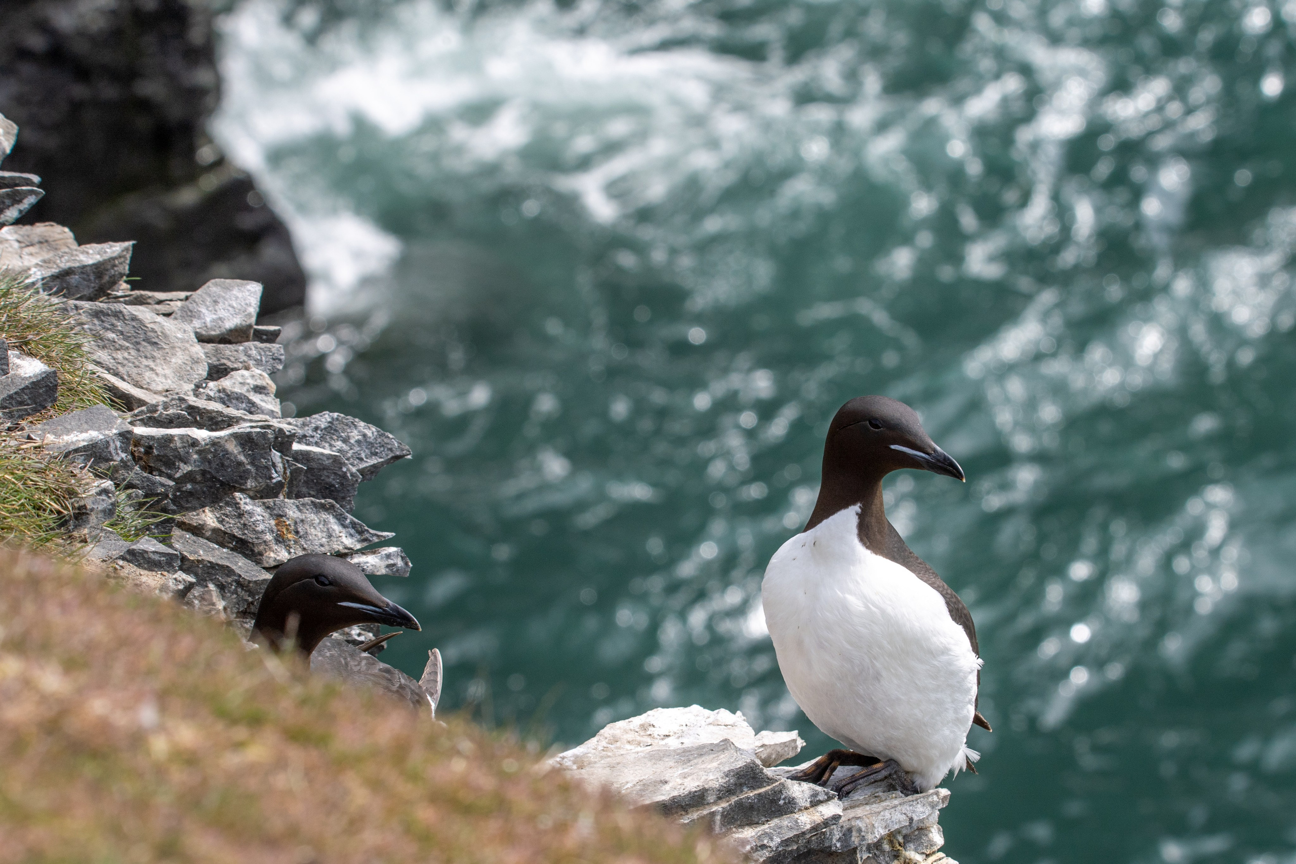 Фотограф Андрей Русов. Официальный сайт
