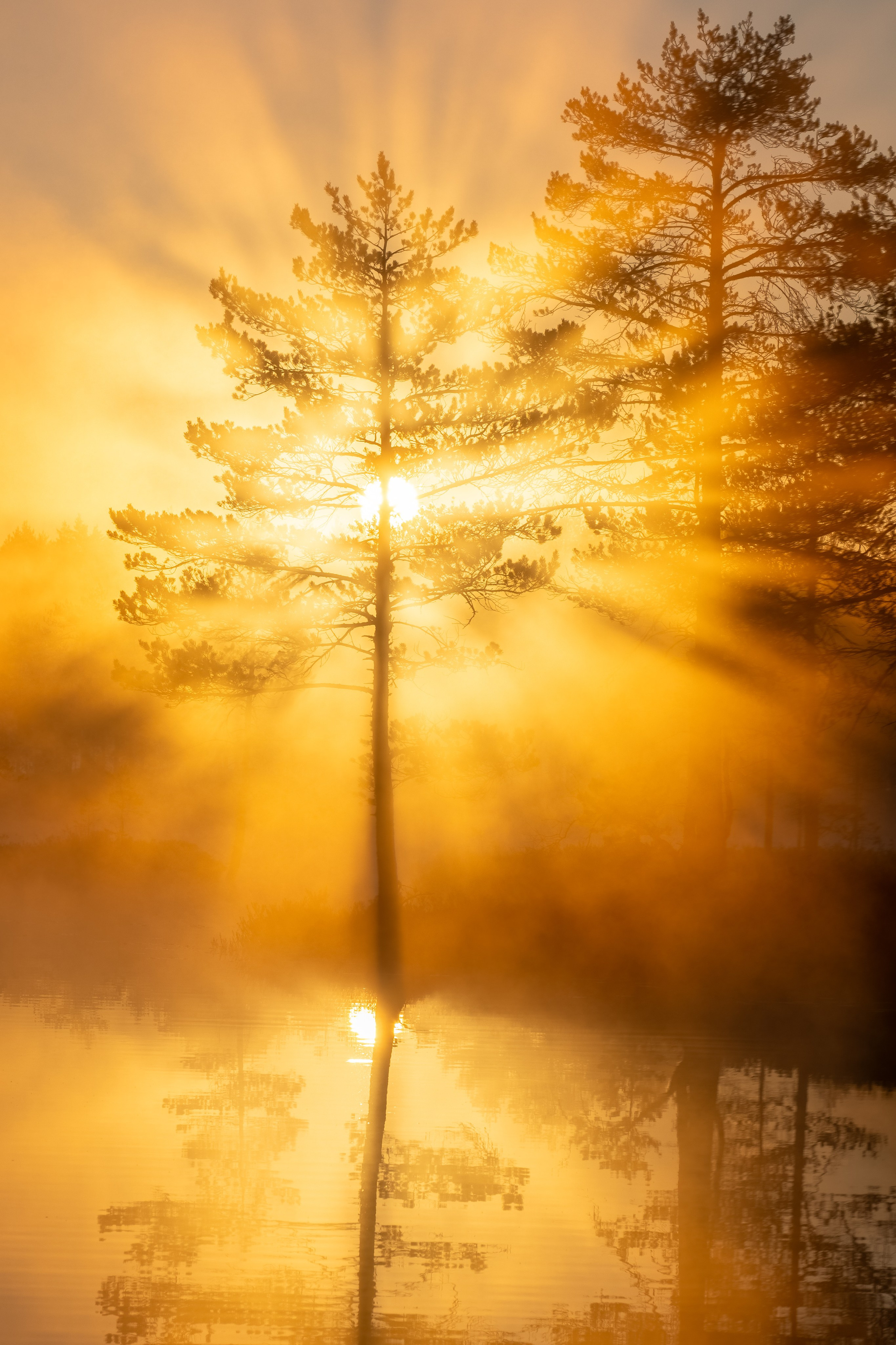 Галерея работ в жанре пейзажа, городского пейзажа и архитектуры. Покупка лицензий для коммерческого использования. Интерьерный фотограф в Санкт-Петербурге Михаил Азаров. Печать и продажа фотографий