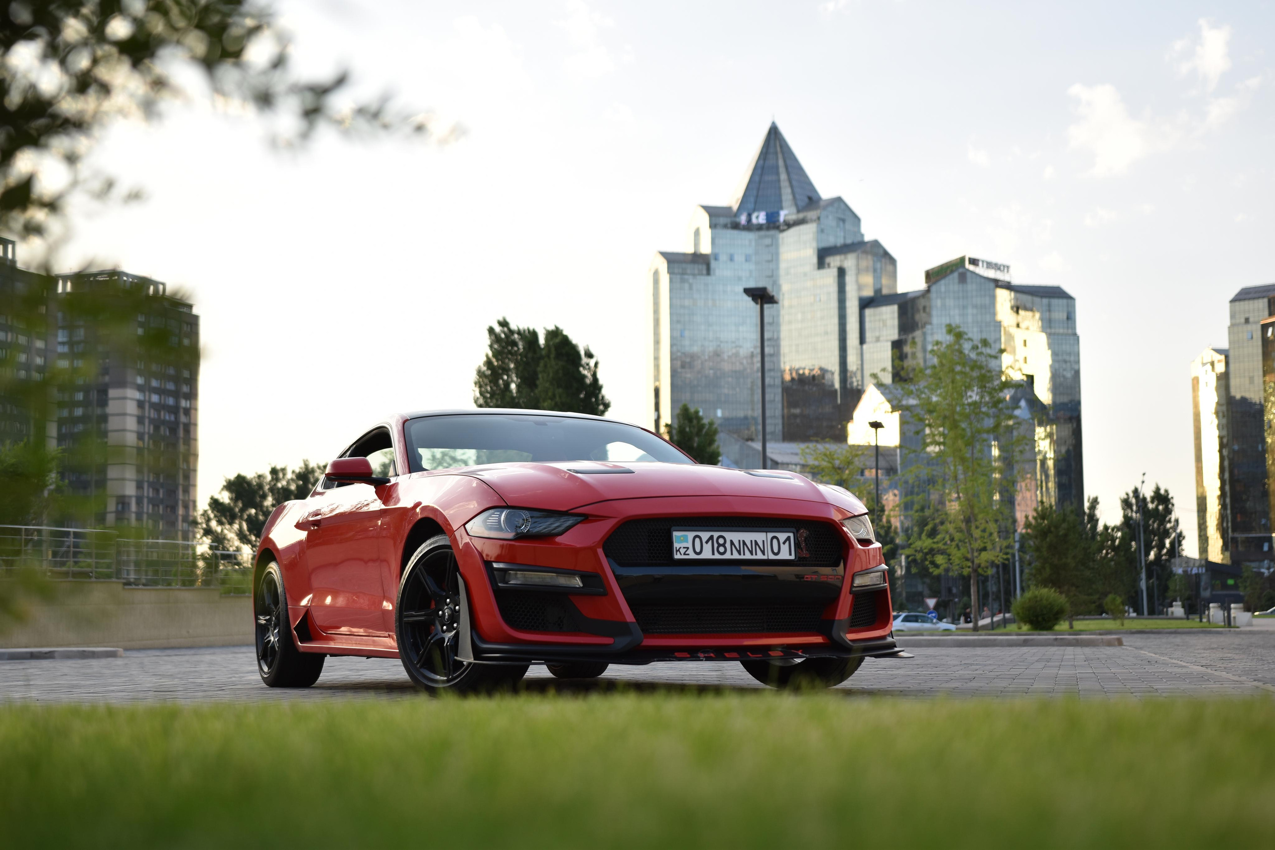 Фотограф в Алматы