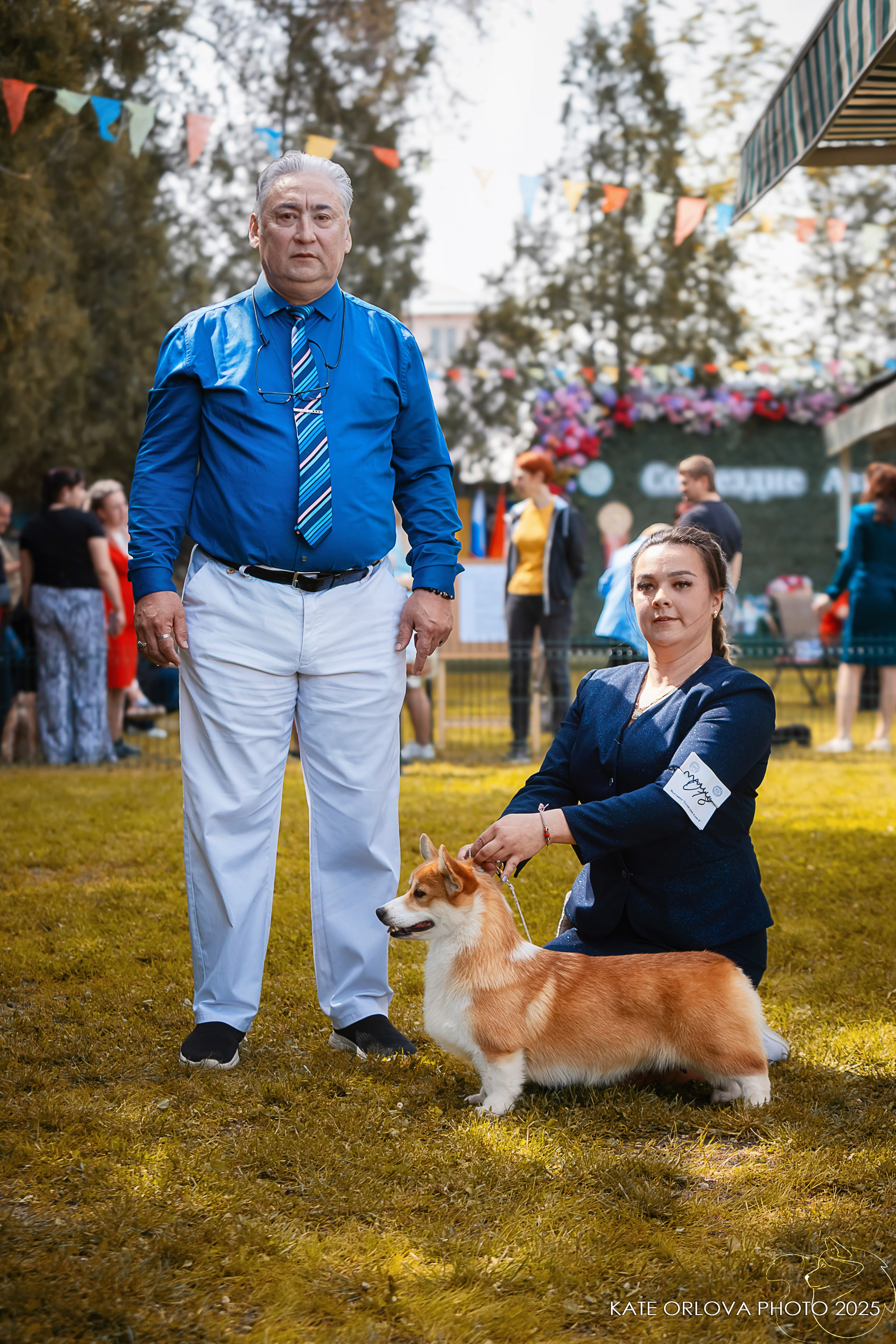 Собаки питомника Bueno Pardo. Питомник собак Акита, Хаски, Корги
