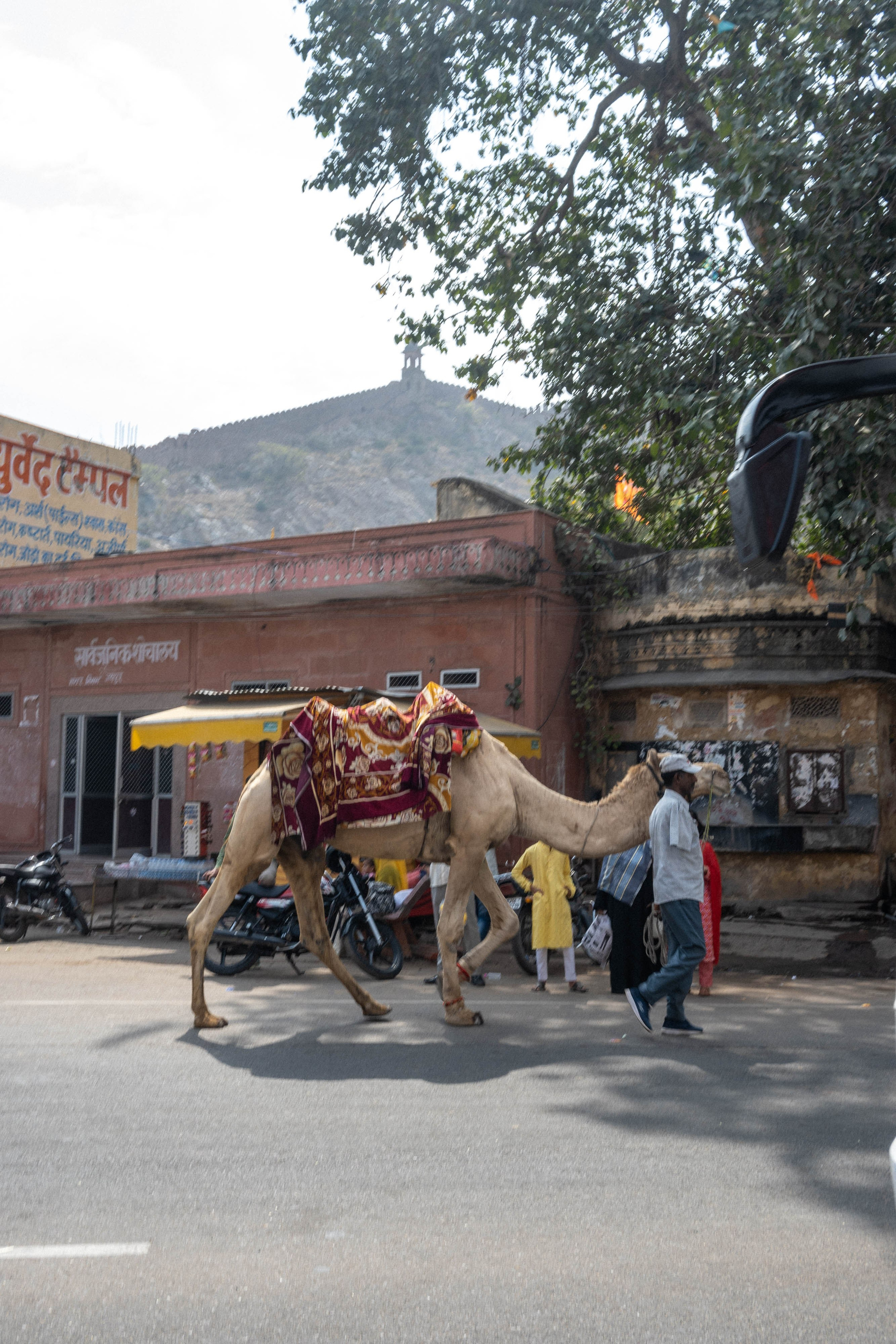 ИНДИЯ. Фотограф Анастасия Броварник в Санкт-Петербурге
