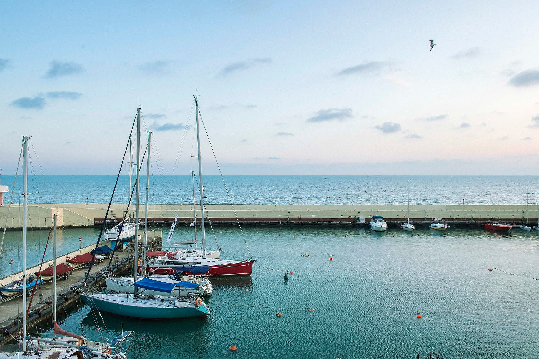 Юг-Спорт в Сочи. Спортивный комплекс и соревнования. Репортажный фотограф в Сочи — Михаил Мордасов
