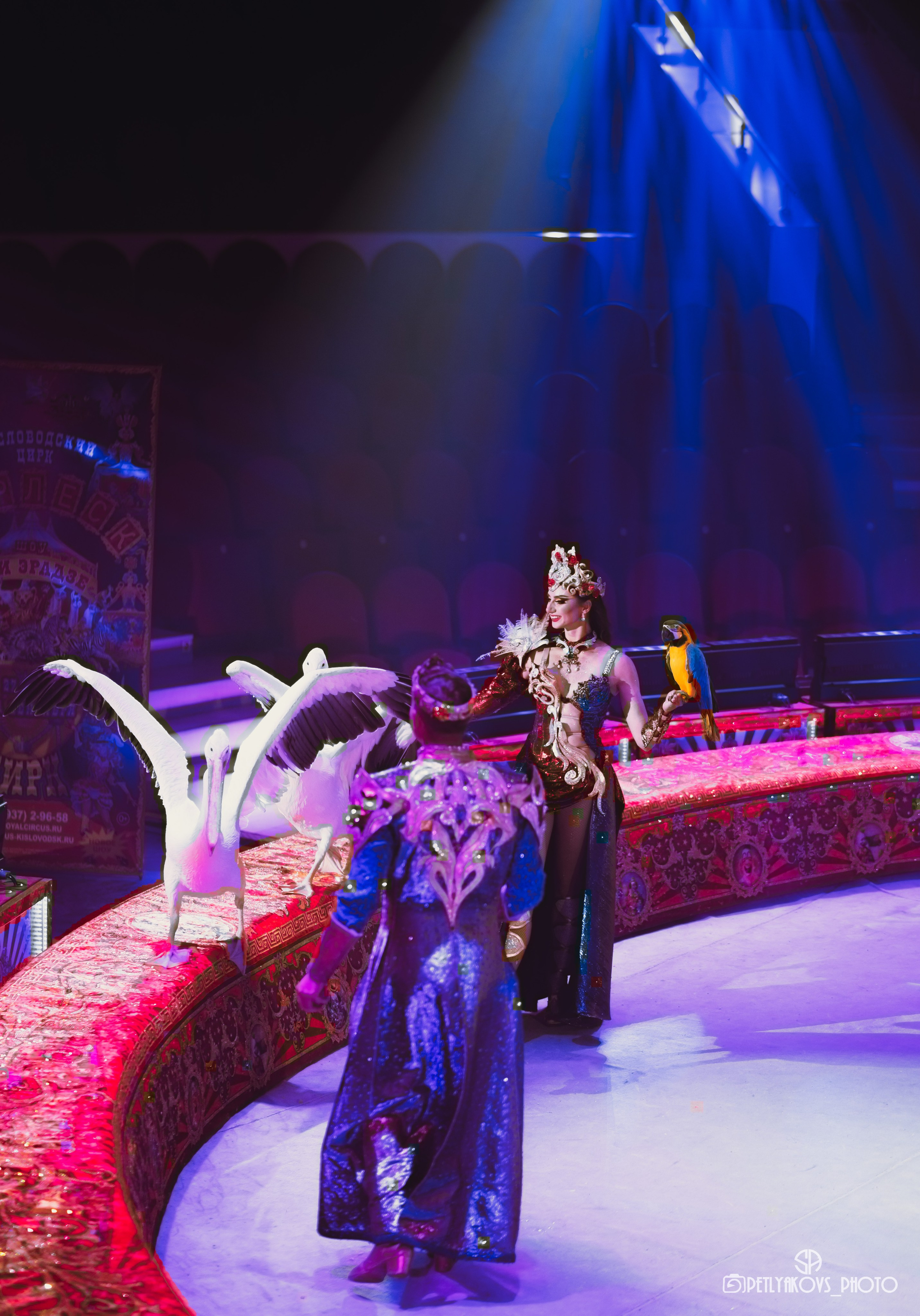 Пресс-конференция циркового шоу Гии Эрадзе «Бурлеск» (репортаж). Фотограф, видеограф Пятигорск, Ставрополь, Ессентуки, Petlyakovs_photo