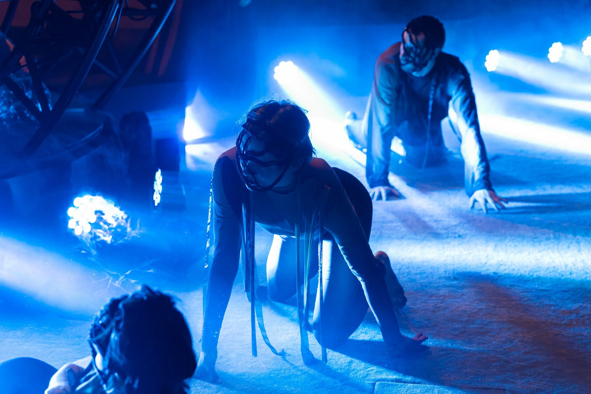 Immersive Dining. “STROKA” art-group