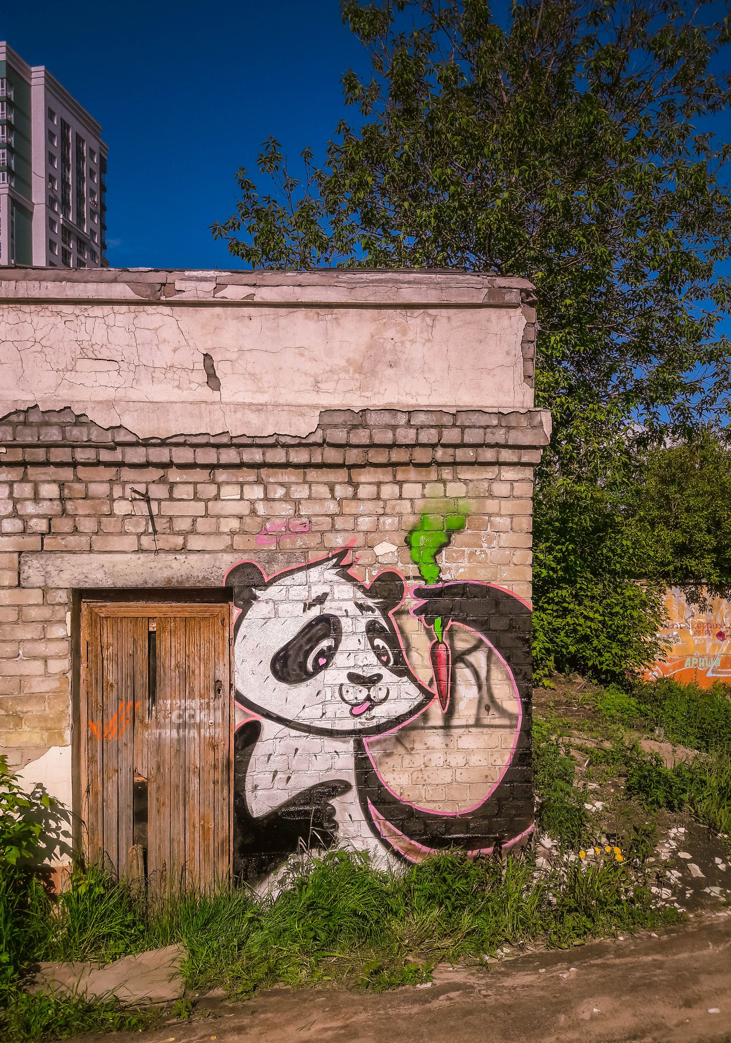 Graffiti. Alexander Stan Shimanov