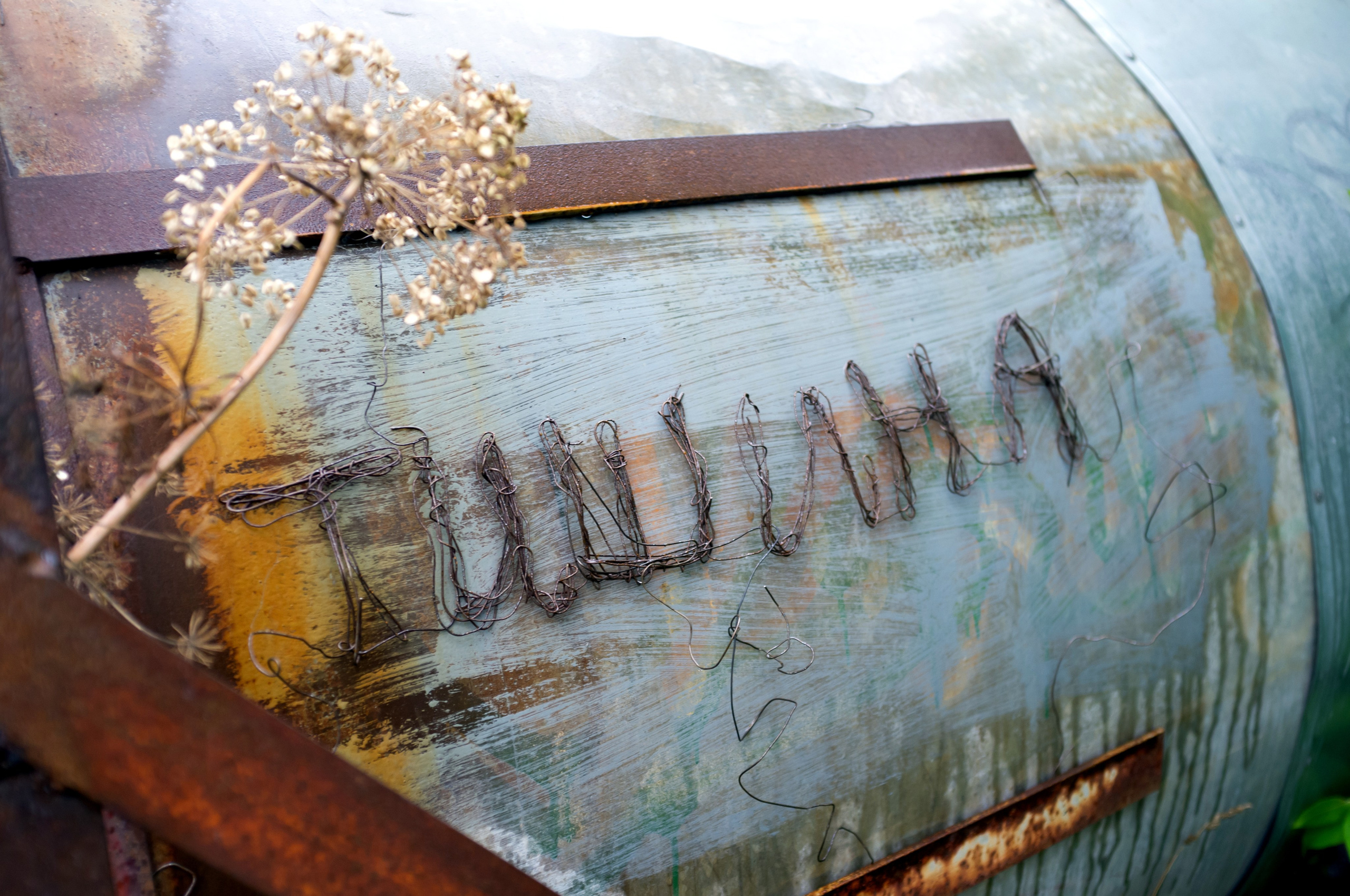 Красненькая биеннале 2025