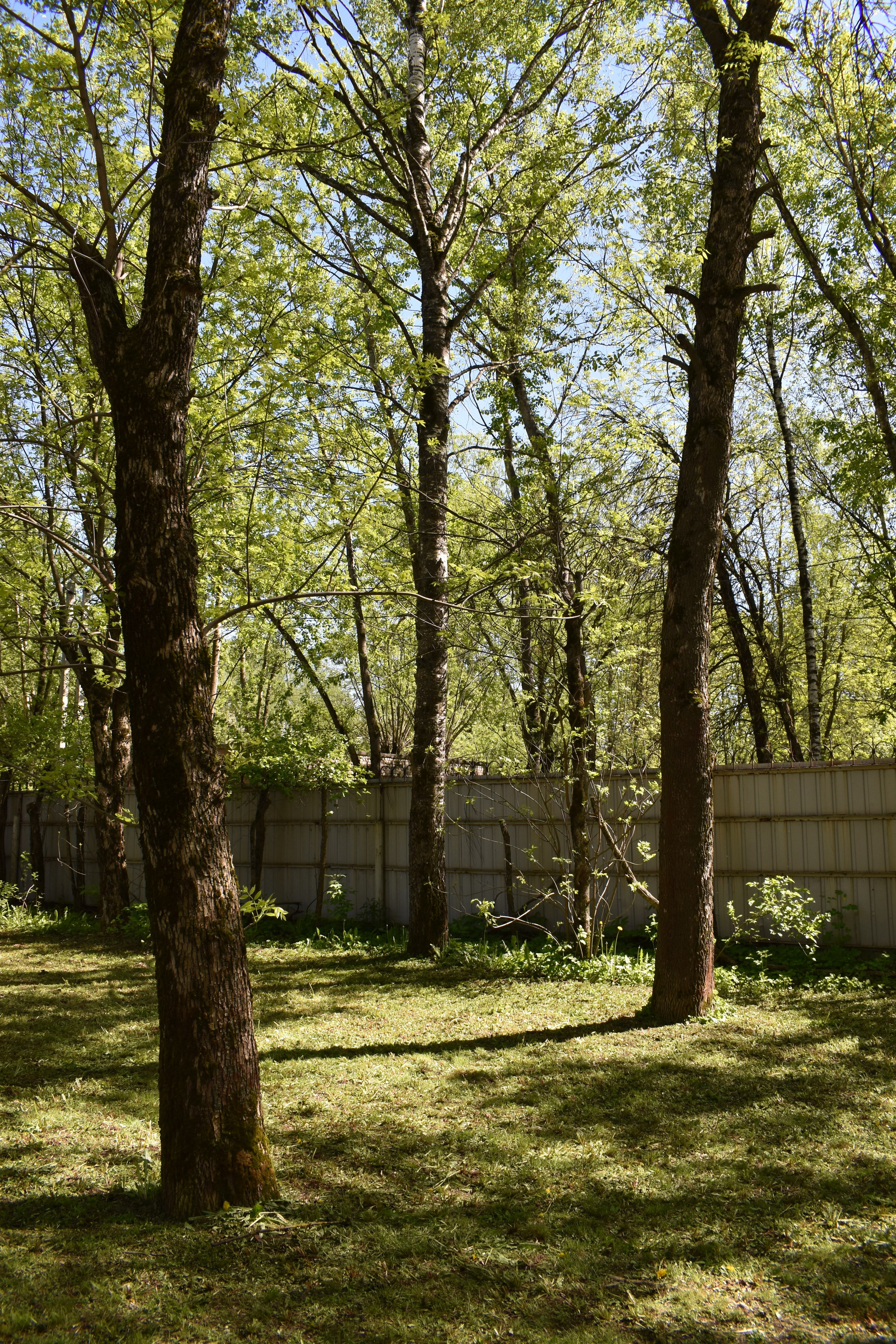 Добрый садовник (в процессе). Микс-медиа художница Надежда Пророкова