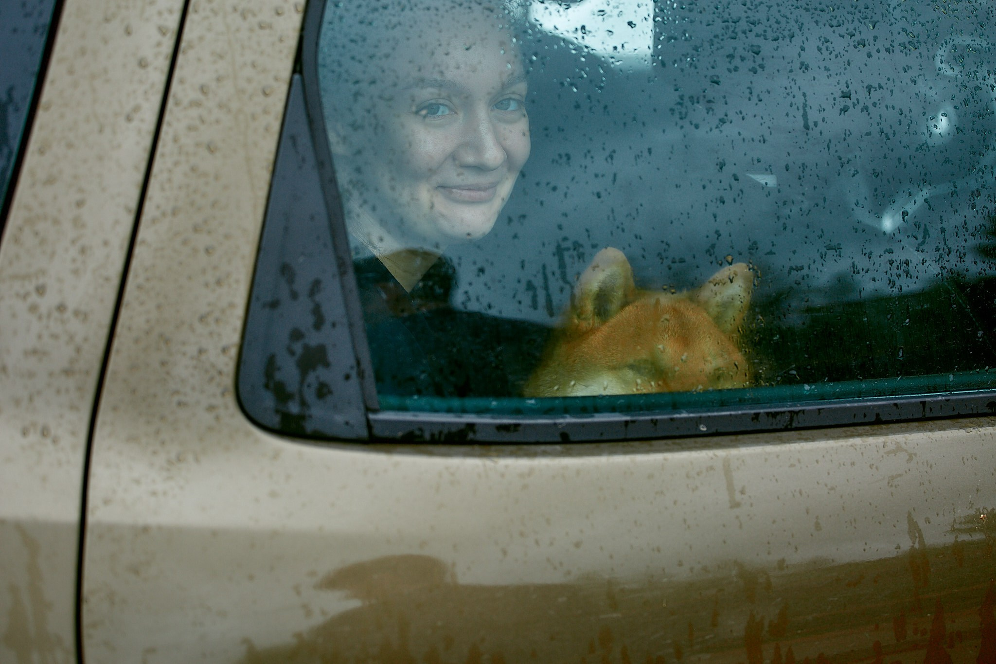 Выездка в «Берегине»