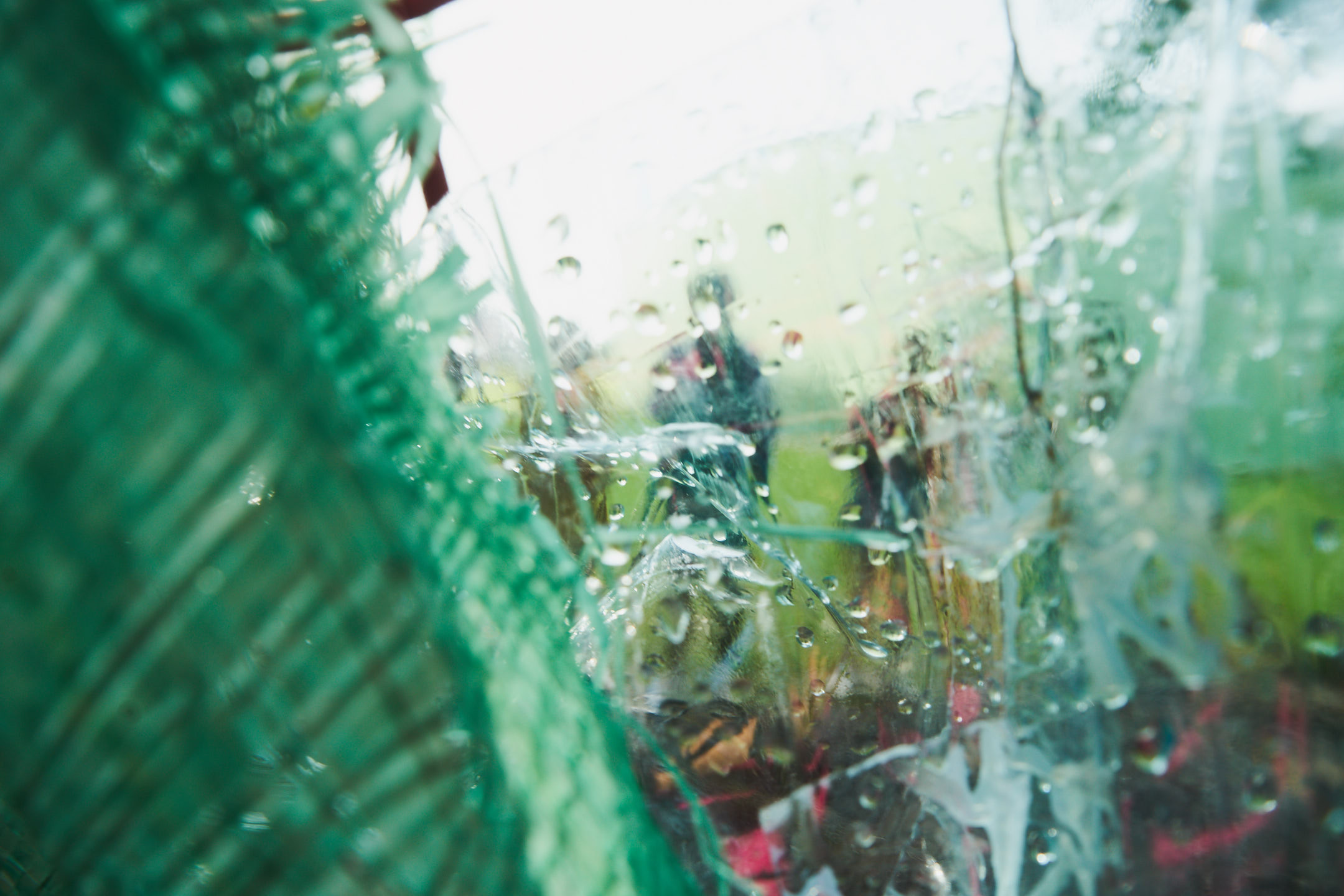 Встречи и возможности. Главная