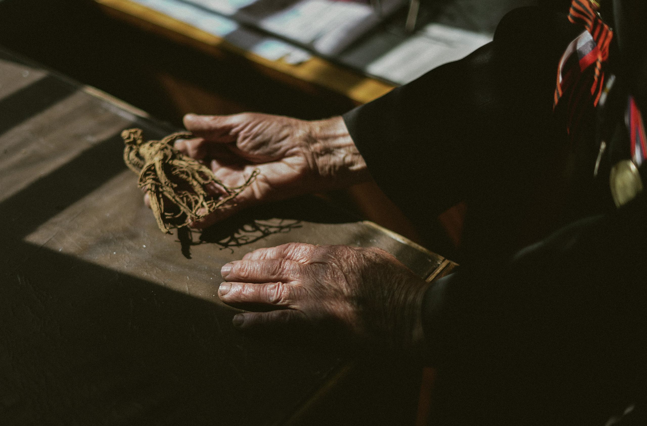 Тигролов. Дарья Пянзина | фотограф |междисциплинарная художница