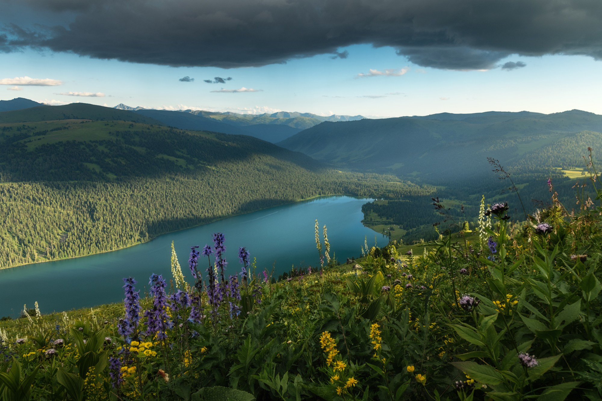 Лето в Горном Алтае. Профессиональный пейзажный фотограф Алёна Рубан