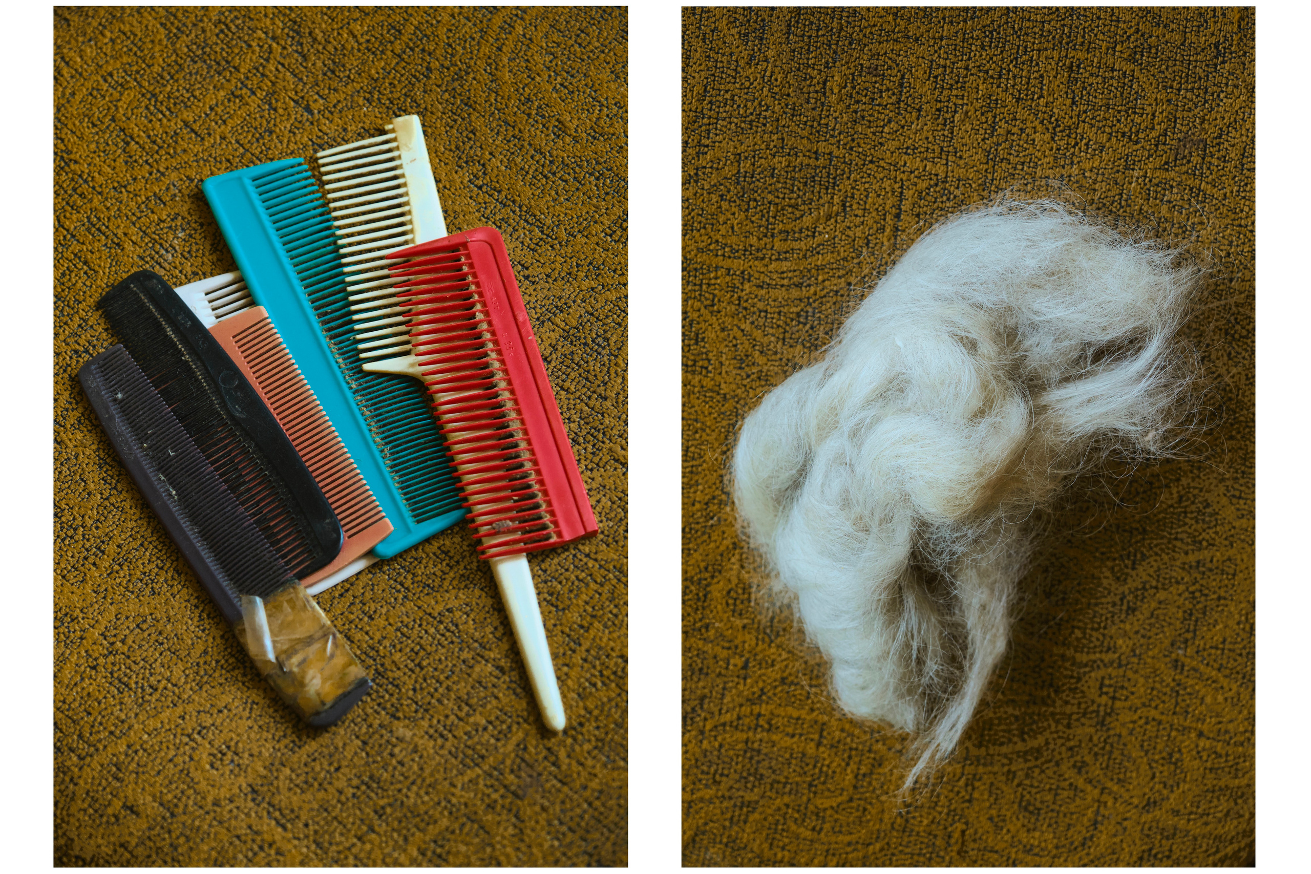 Слева набор дедовых расчесок, справа – бабушкины вычесанные волосы, которые она копила и потом сжигала (никогда не выбрасывала)