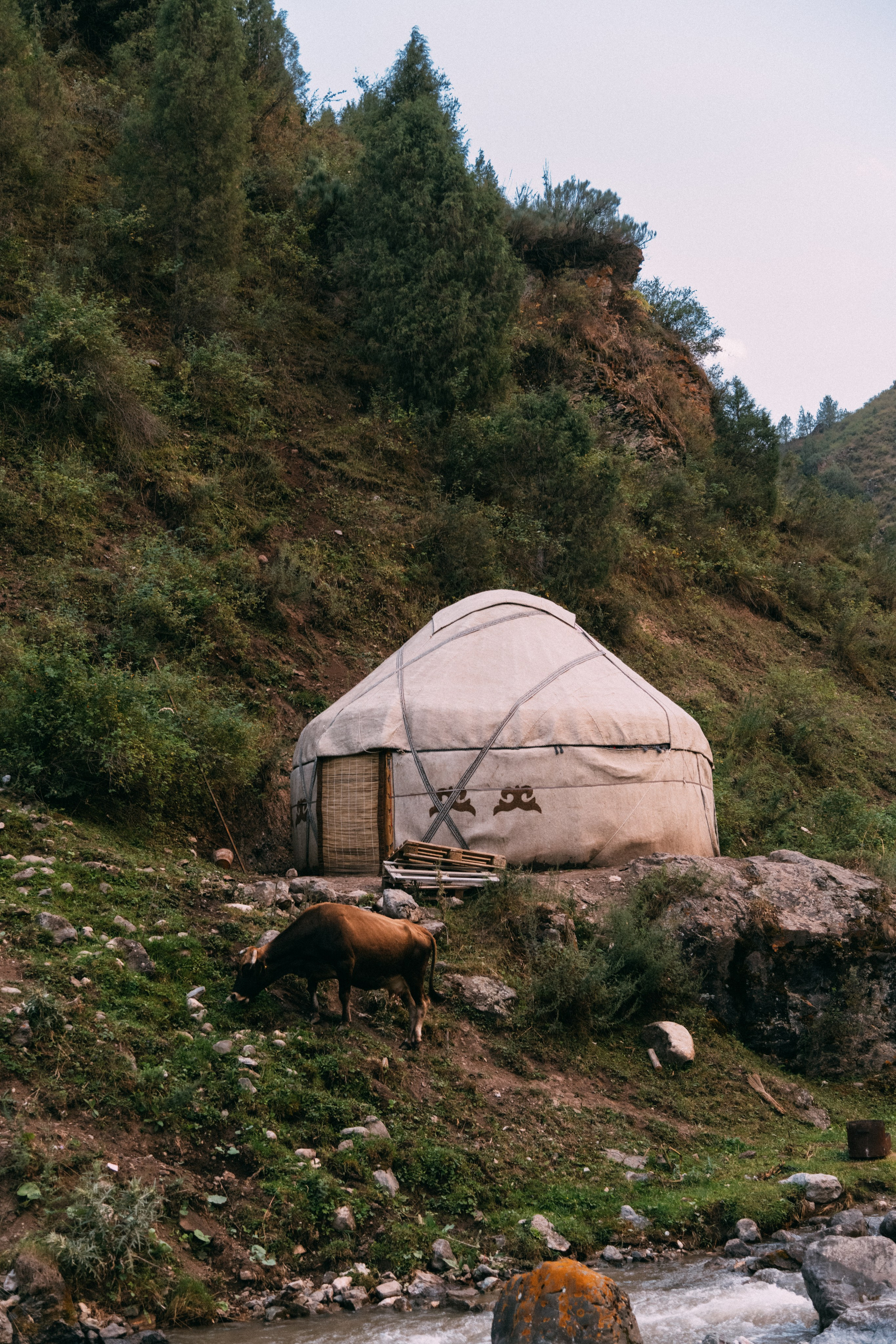 Средняя Азия подборка. Роман Свободный — интерьерная и архитектурная съёмка, Москва и МО