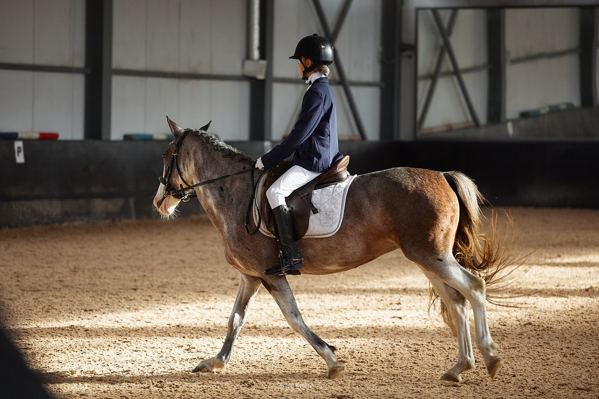 Третий день в Северной Звезде
