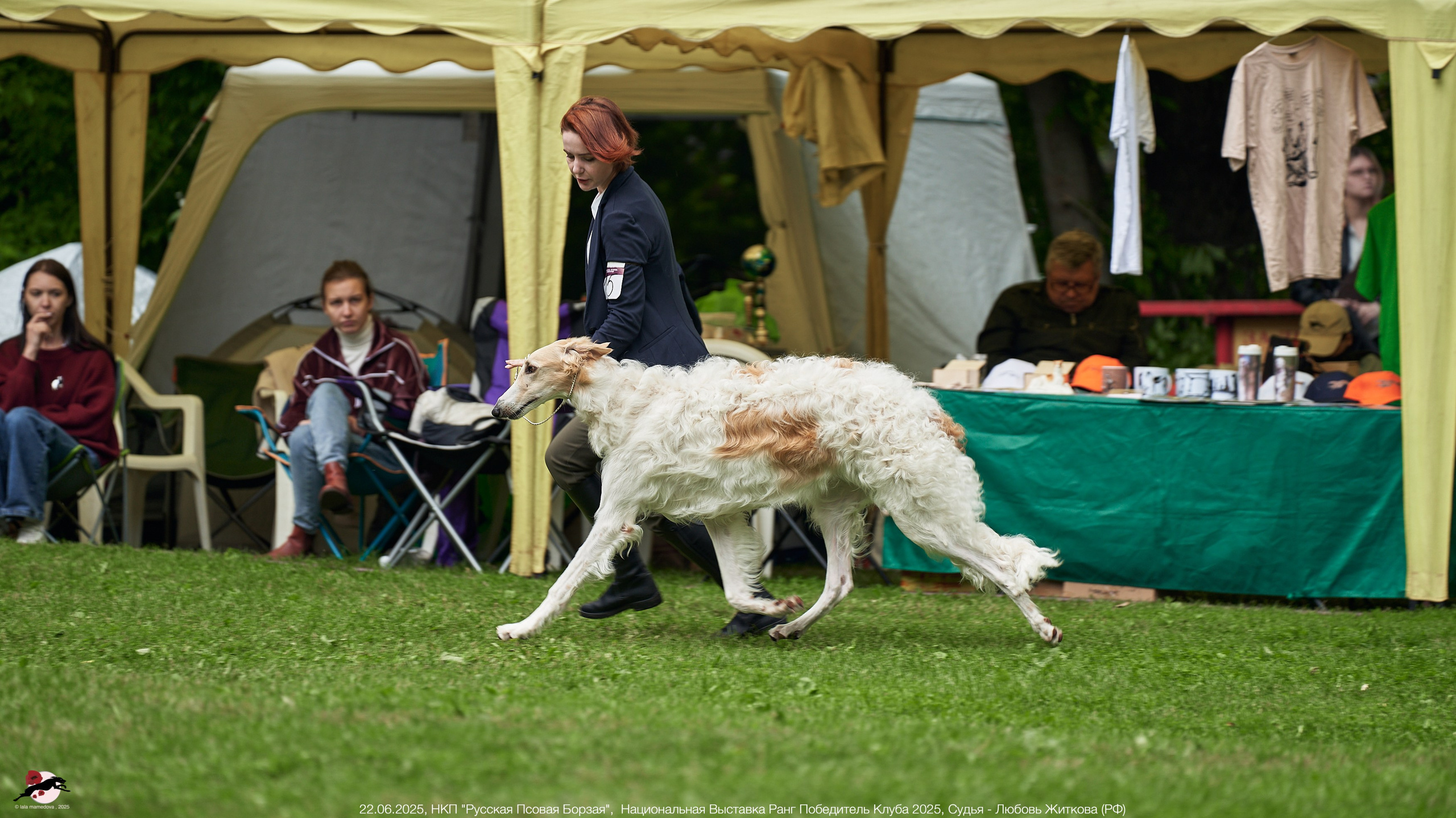 22.06.2025 | Национальная Выставка НКП "Русская Псовая Борзая"